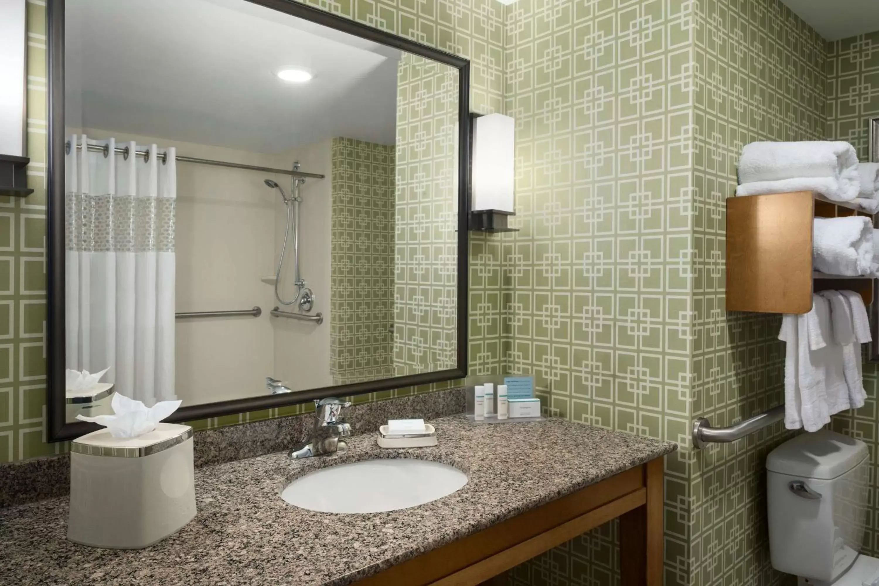 Bathroom in Hampton Inn and Suites Clayton/St. Louis-Galleria Area