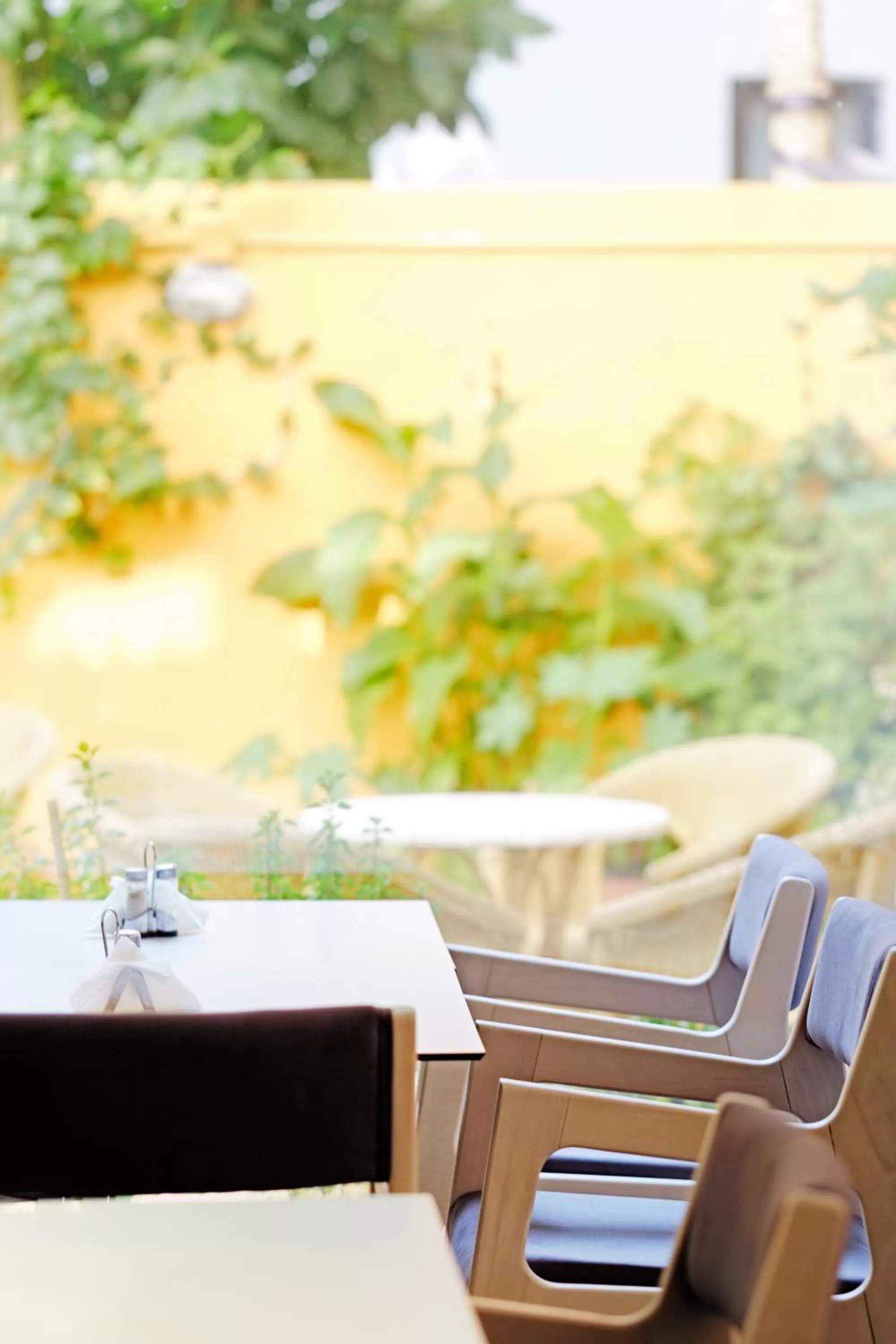 Restaurant/places to eat in Savoy City Hotel