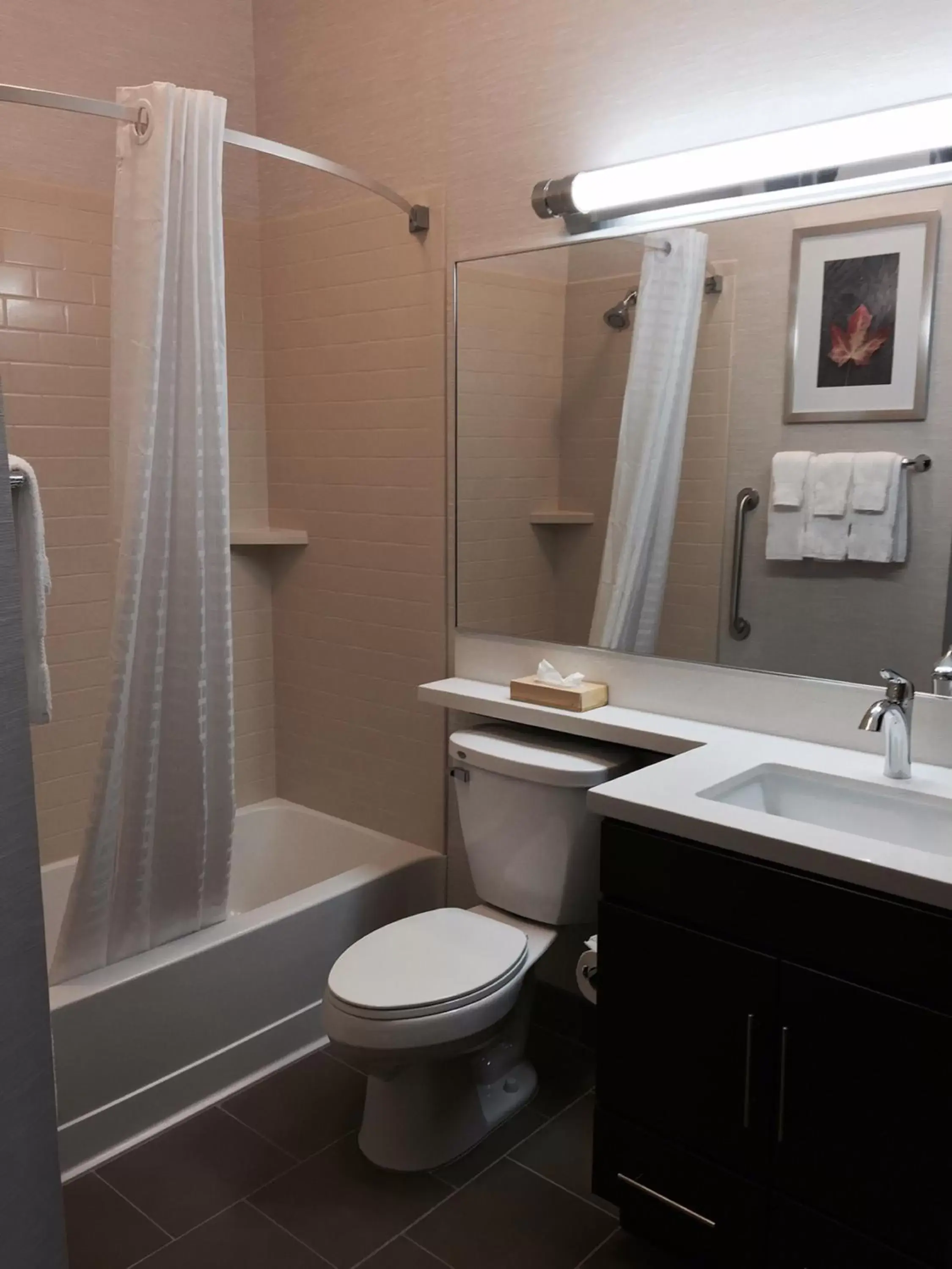 Bathroom in Candlewood Suites Youngstown W - I-80 Niles Area, an IHG Hotel