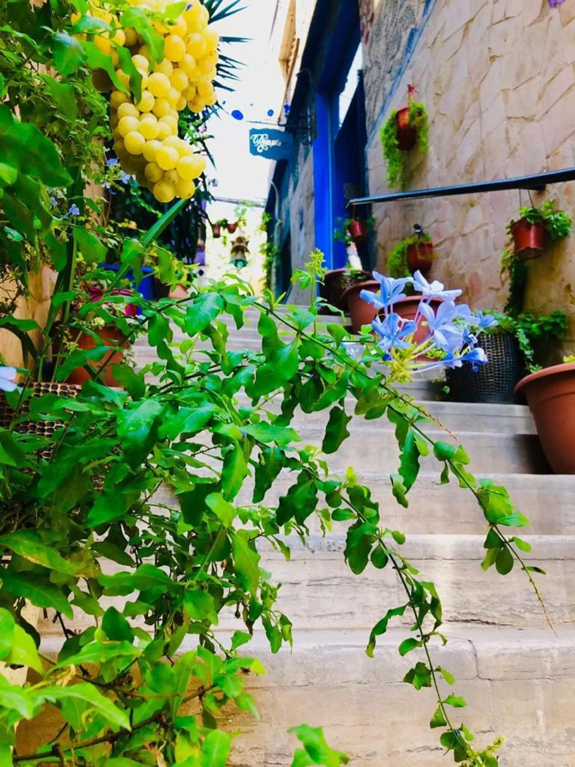 Property building in Zaman Ya Zaman Boutique Hotel Property building in Zaman Ya Zaman Boutique Hotel