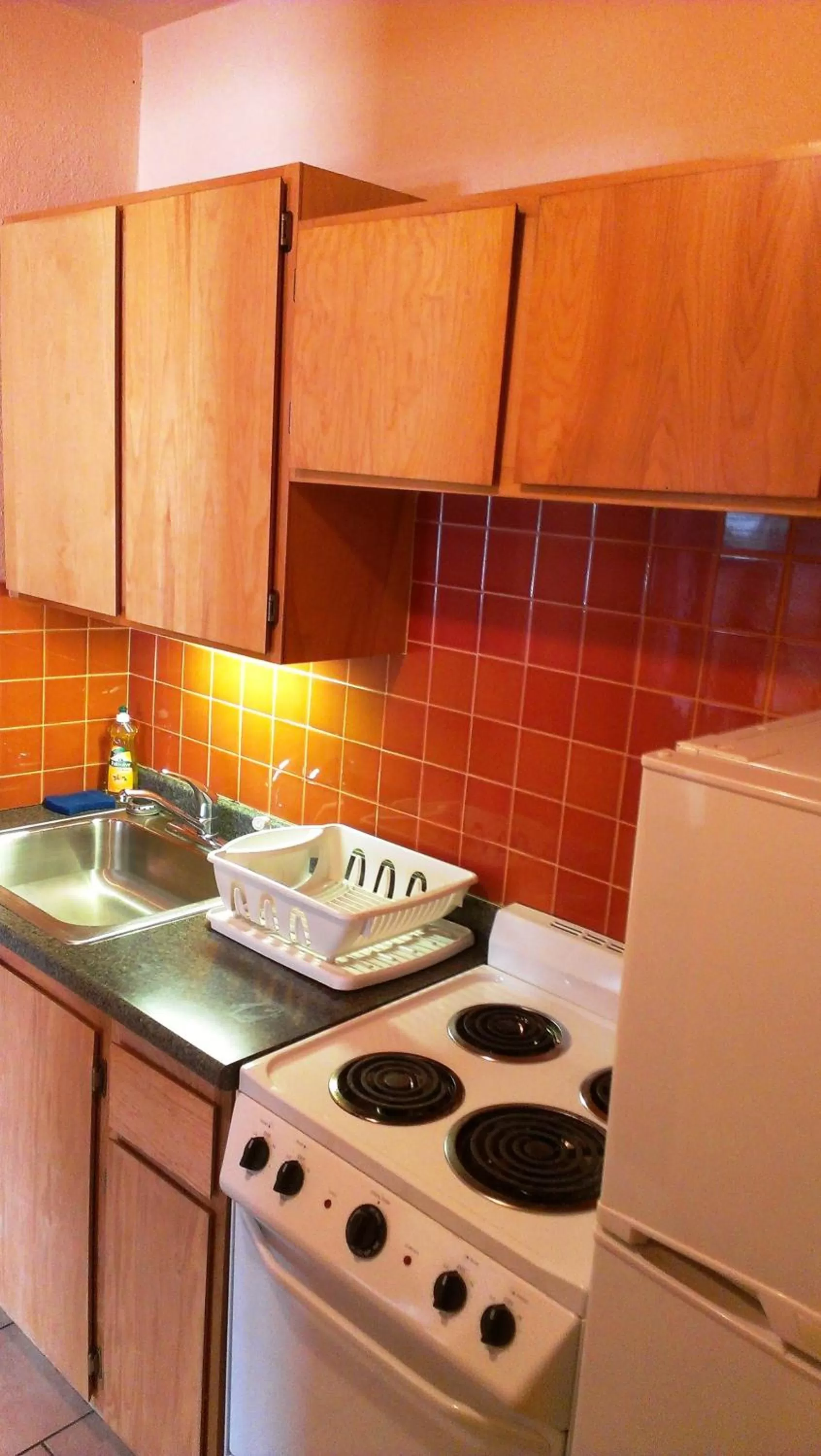Kitchen or kitchenette in Western Motel