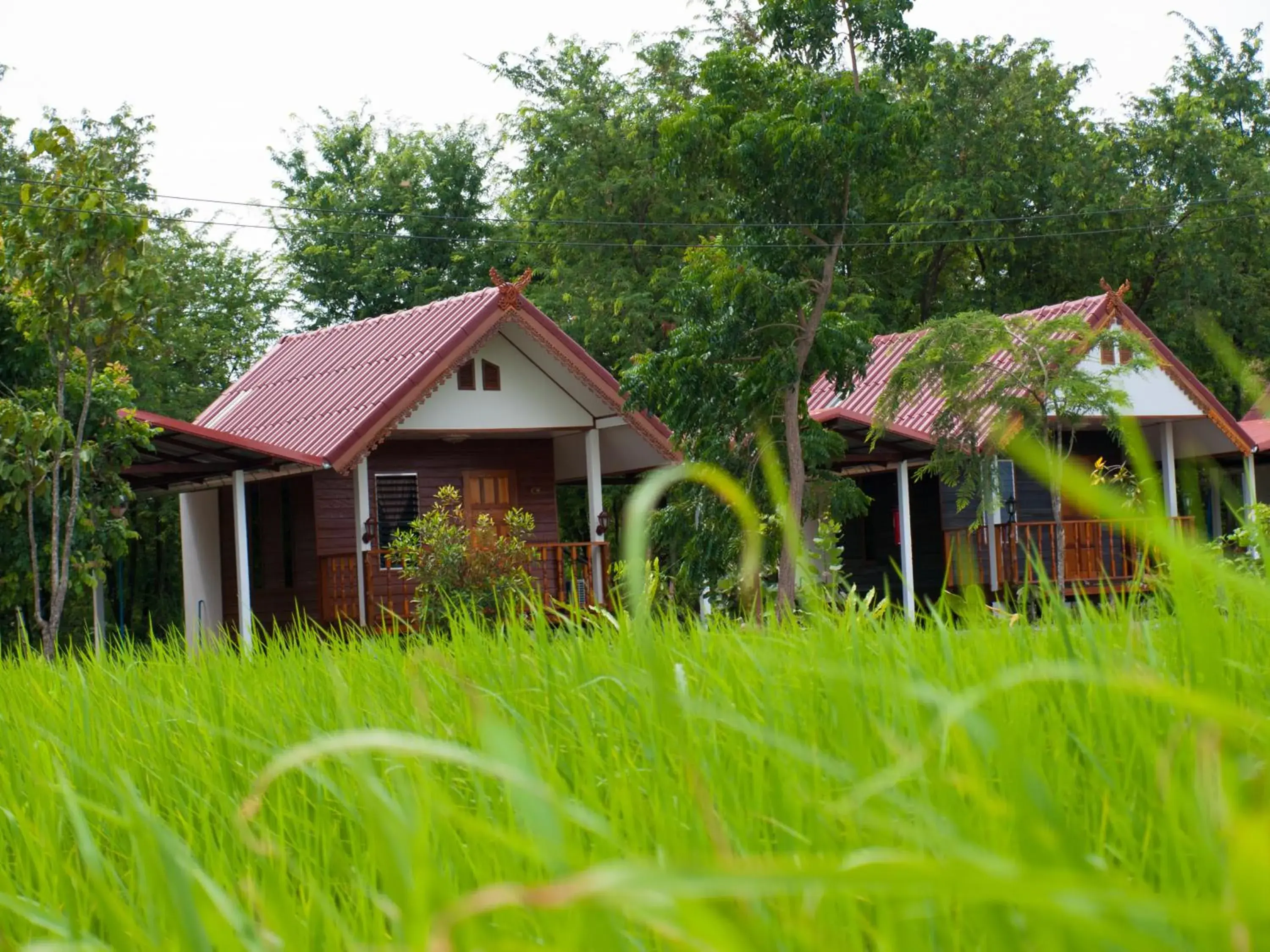 Jamsai Resort Jamsai Resort