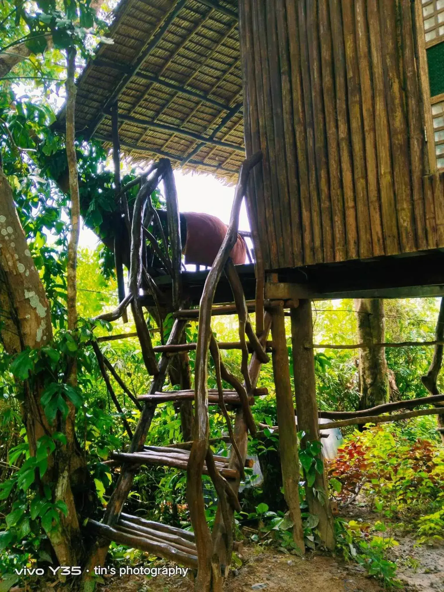 Sanctuaria Treehouses Busuanga