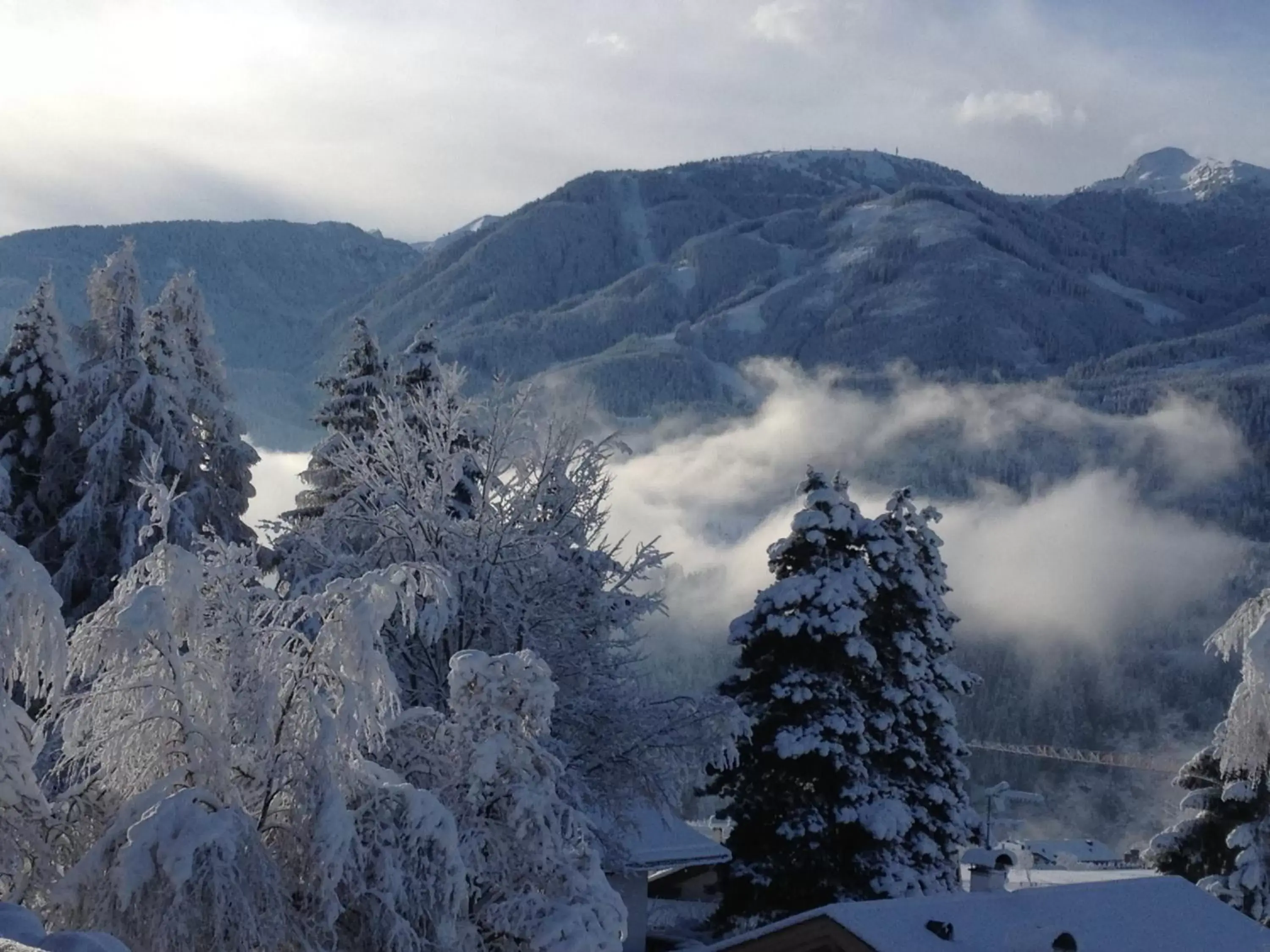 Natural landscape, Winter in Hotel Orso Grigio