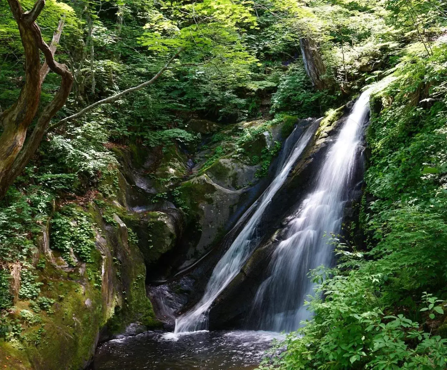 Nearby landmark, Natural Landscape in Hotel Associa Takayama Resort