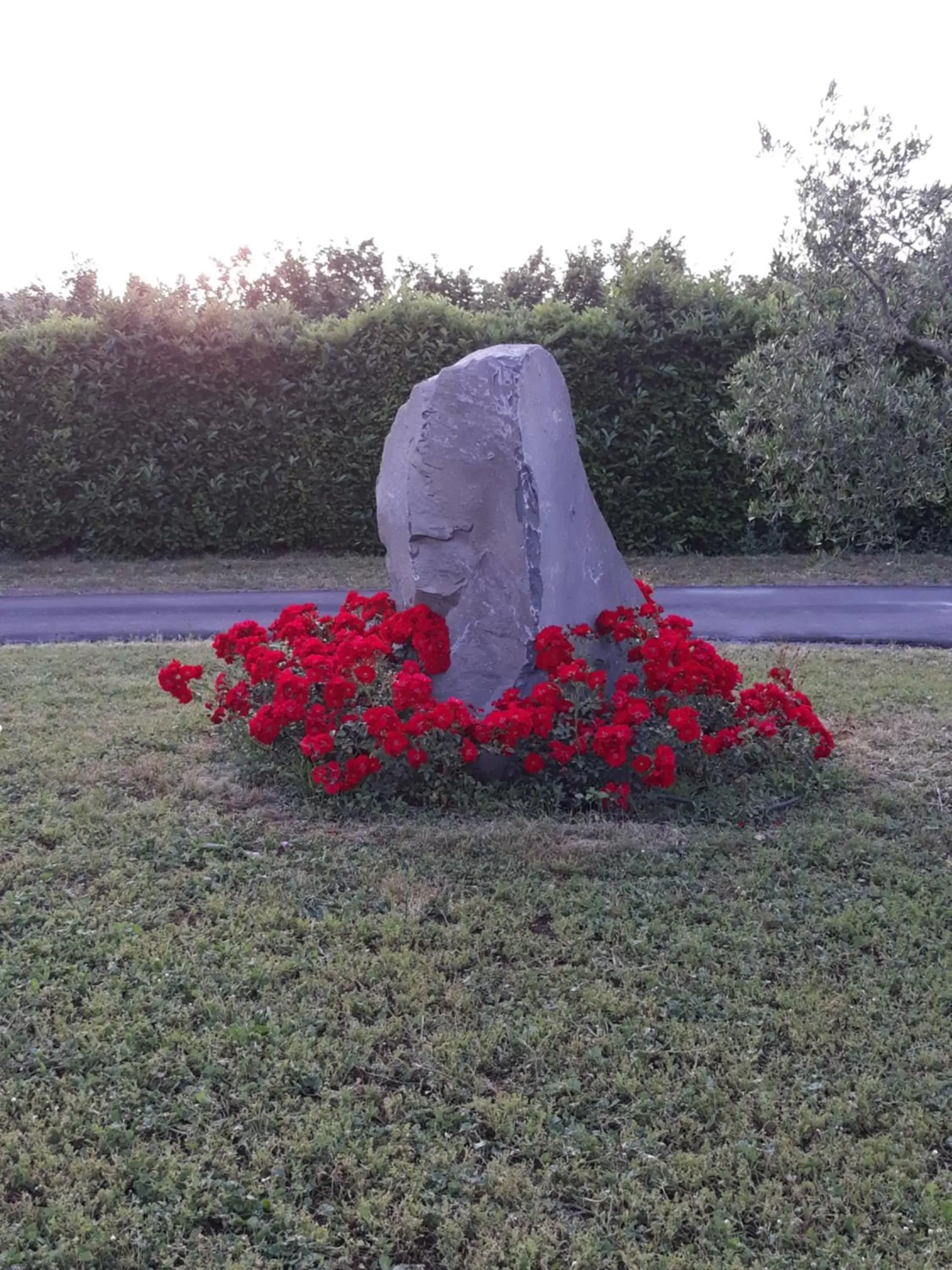 Property building, Garden in L'Orto sul Poggio