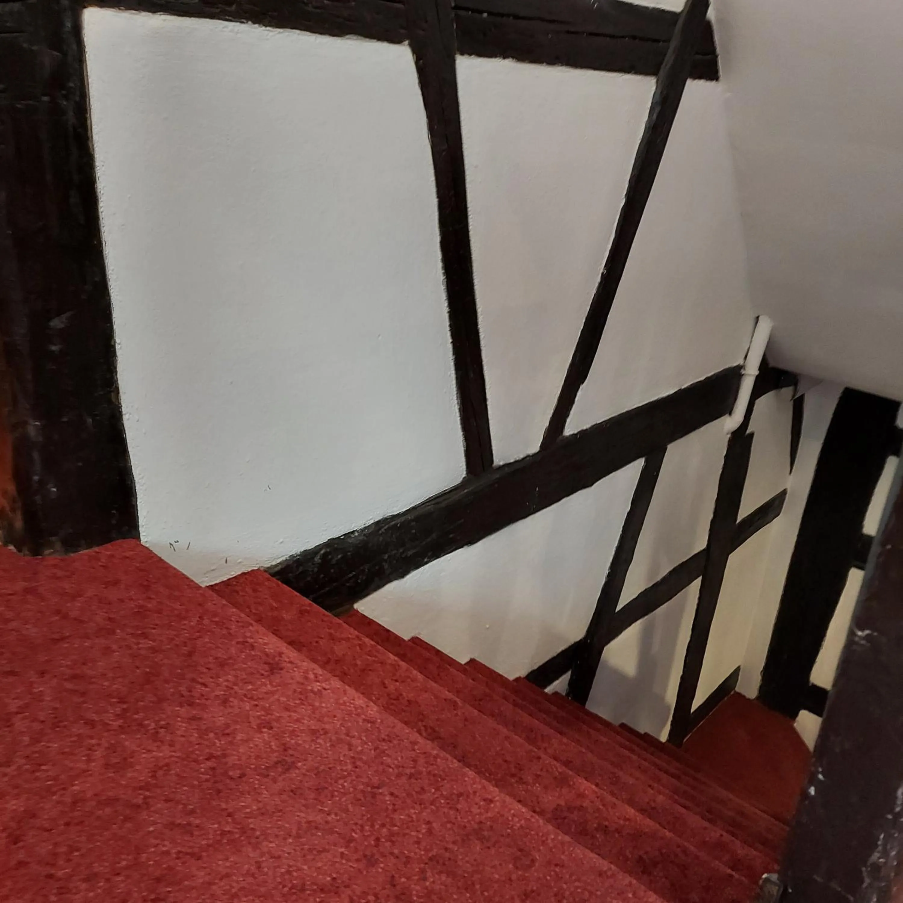 Area and facilities in Hotel Gasthof Inselgraben garni