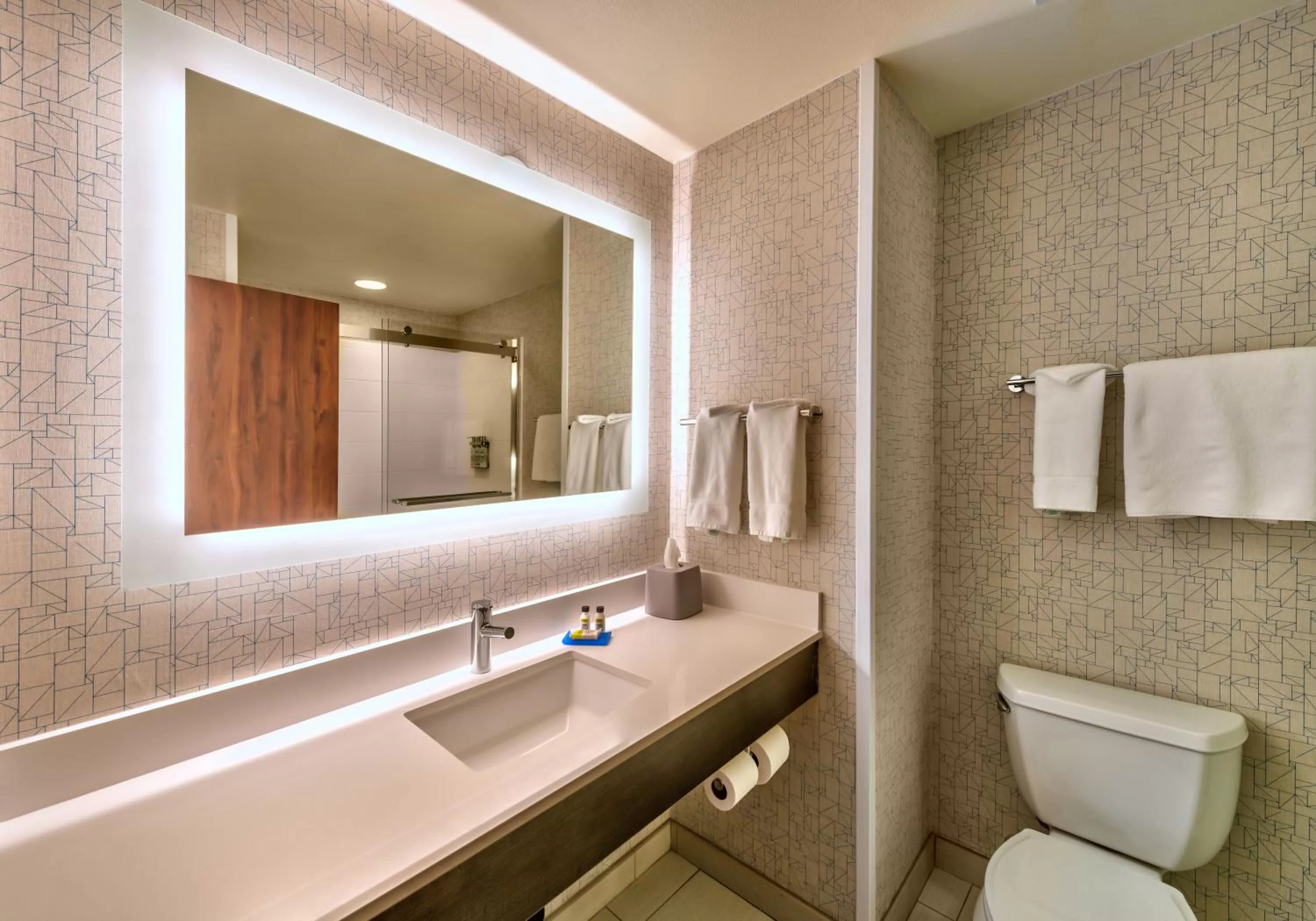 Bathroom in Holiday Inn Express Hotel & Suites Minden by IHG