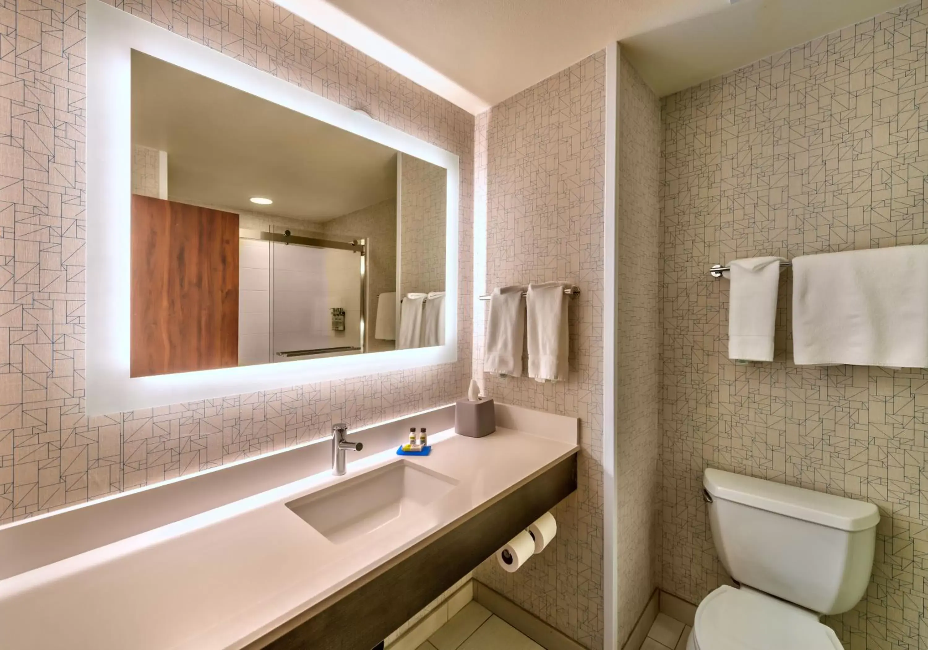 Bathroom in Holiday Inn Express Hotel & Suites Minden, an IHG Hotel