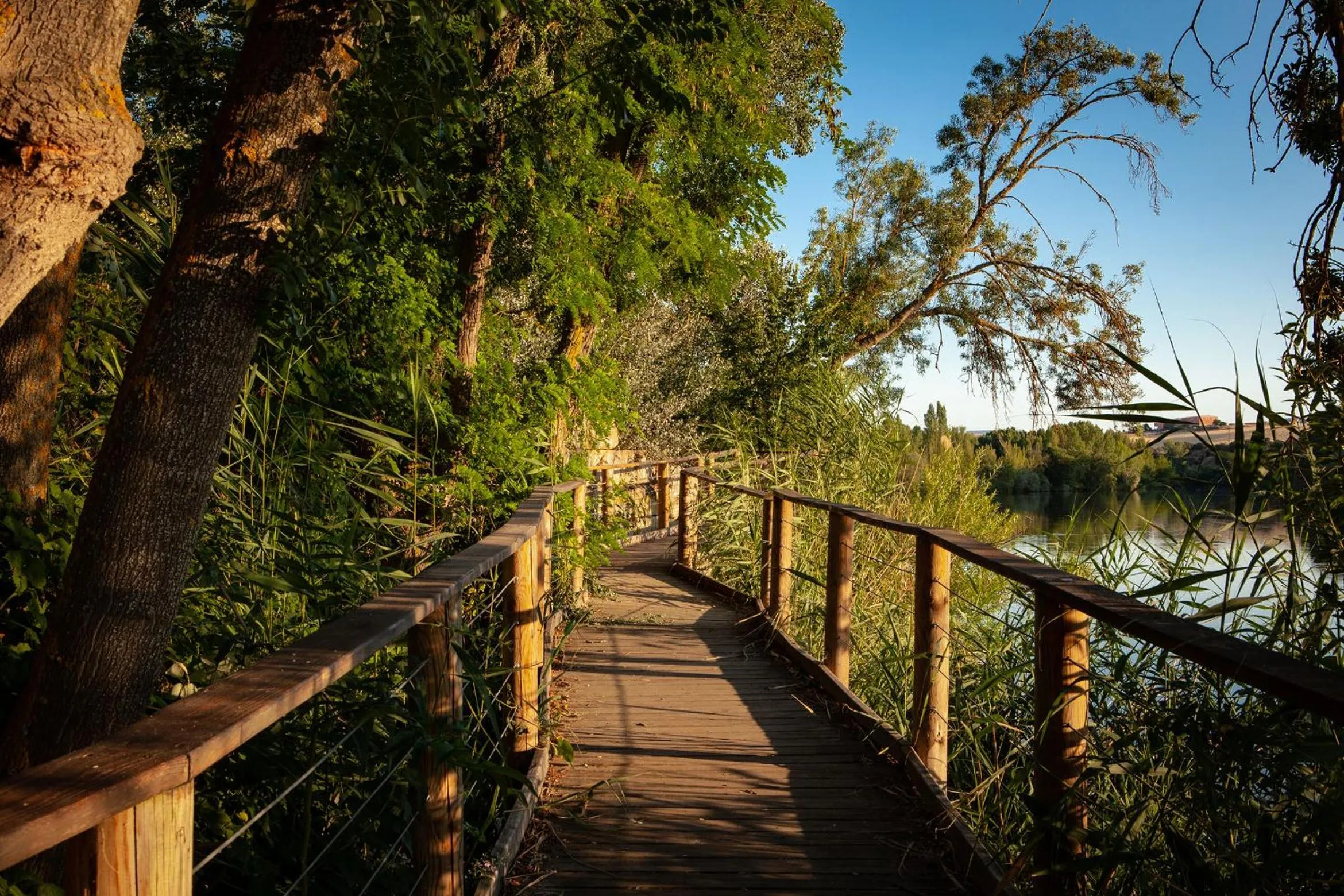 Off site in Hotel Doña Brígida – Salamanca Forum