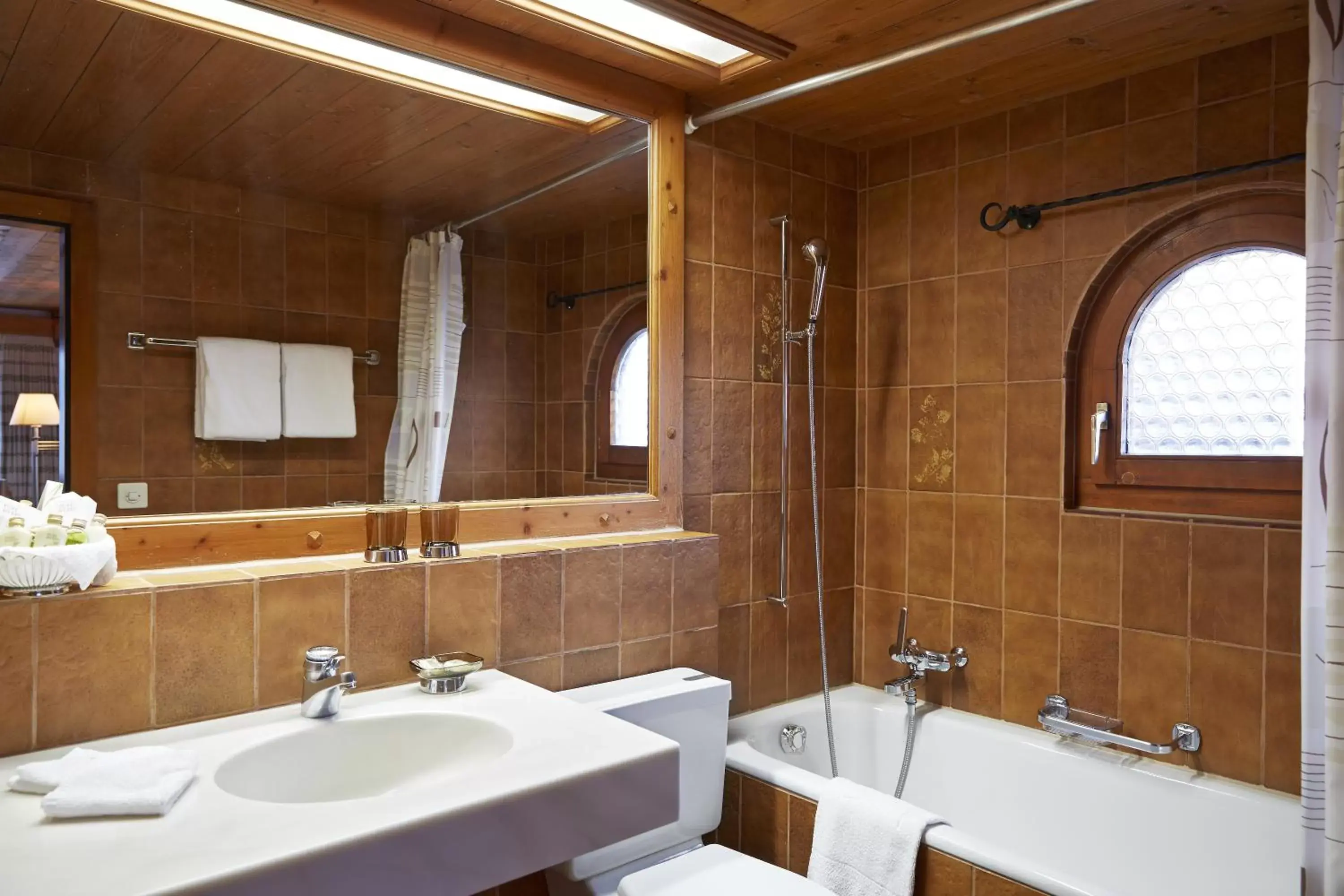 Bathroom in Hotel Steinbock