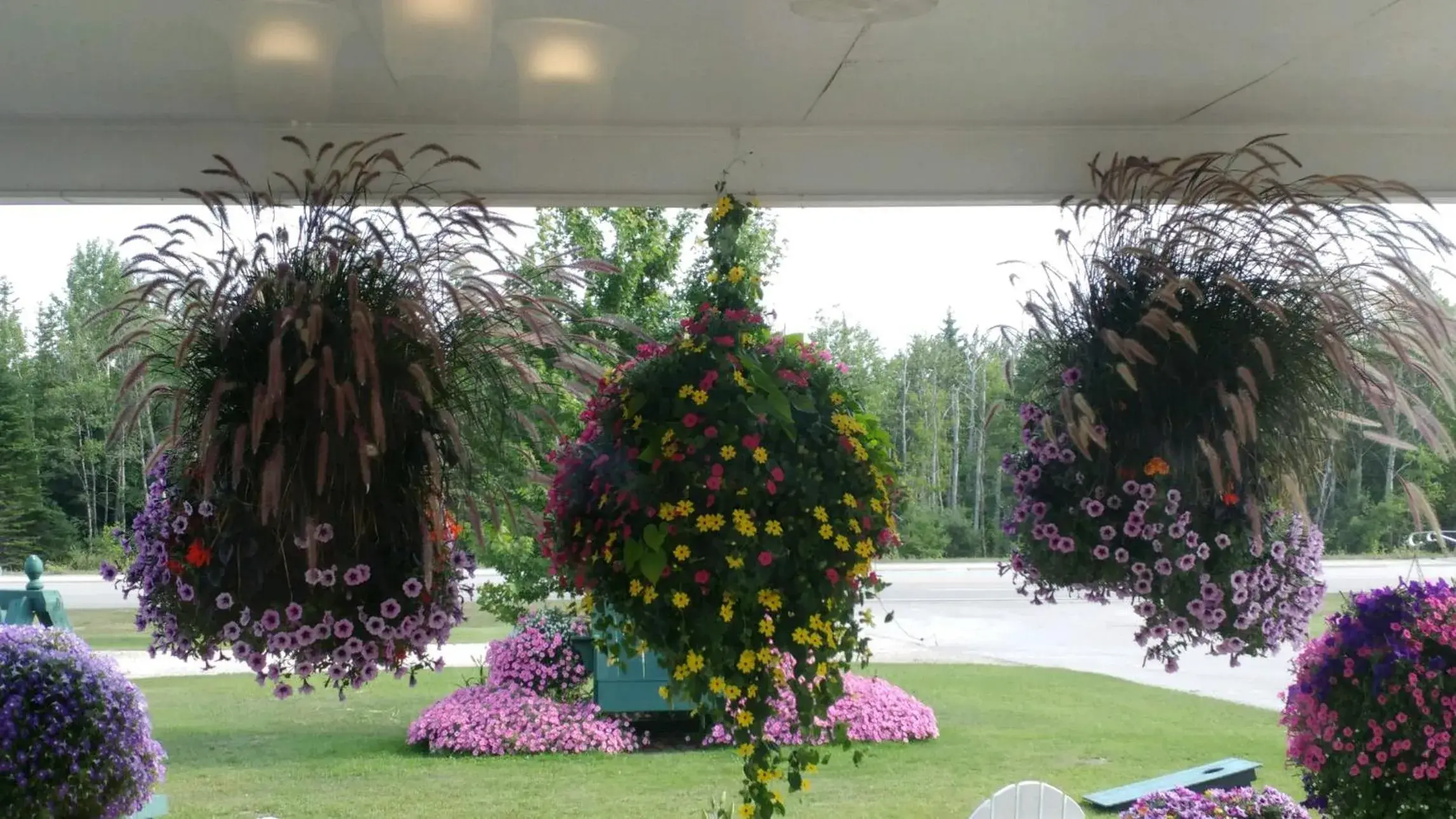 Garden in Sunset Motel of St. Ignace