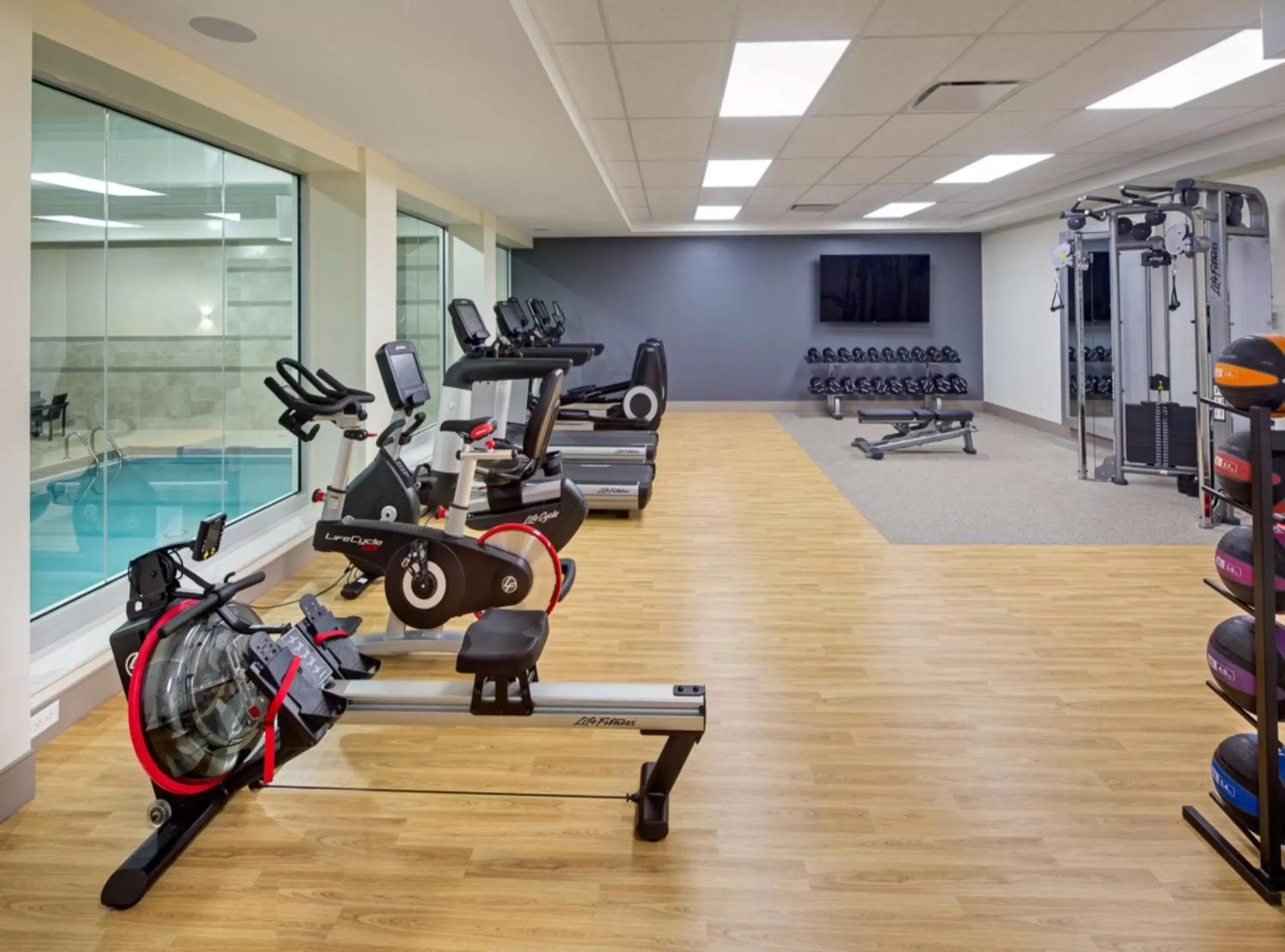 Swimming pool, Fitness Center/Facilities in Doubletree by Hilton Toronto Airport, ON