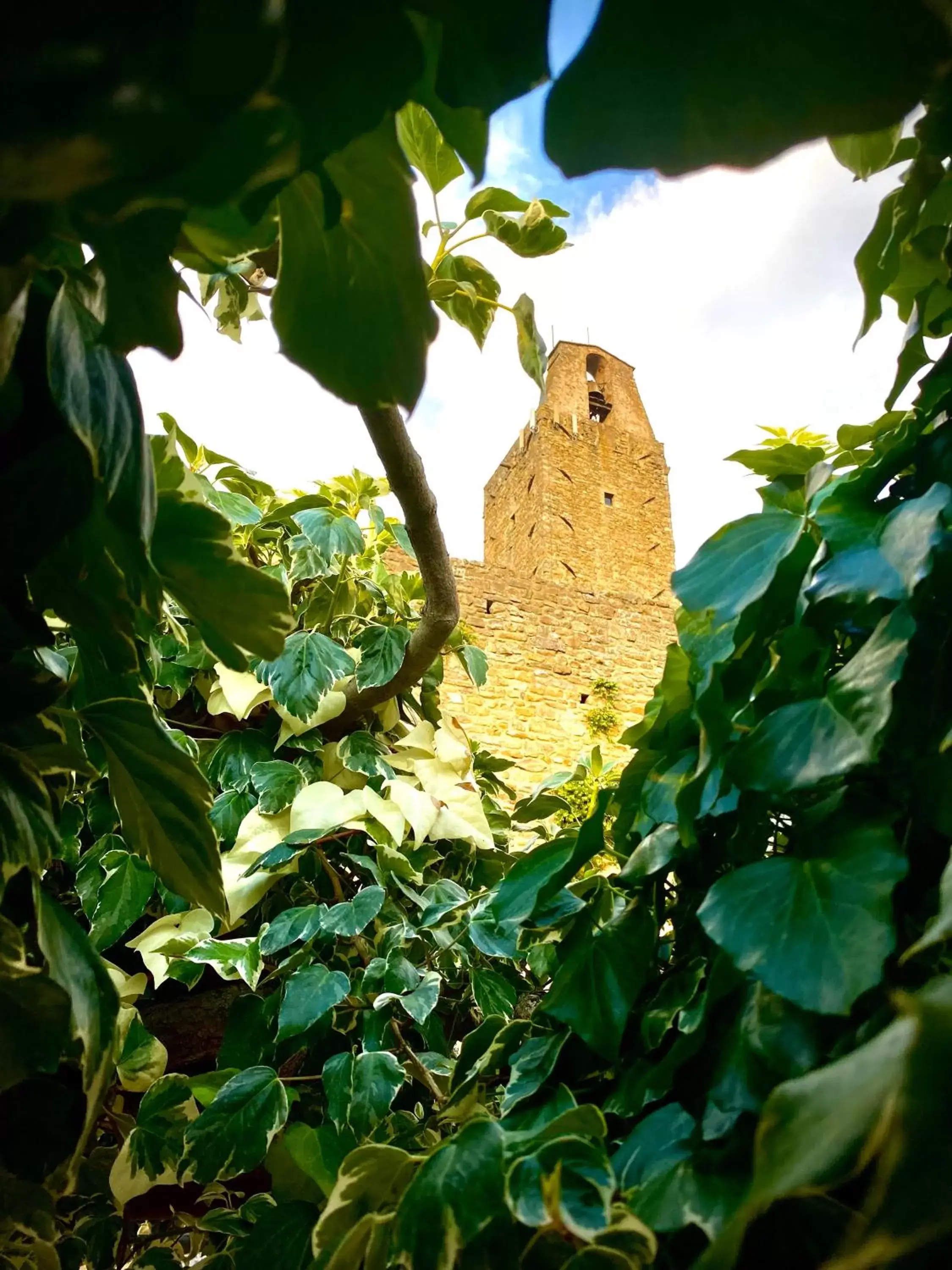 Landmark view in San Michele al Castello