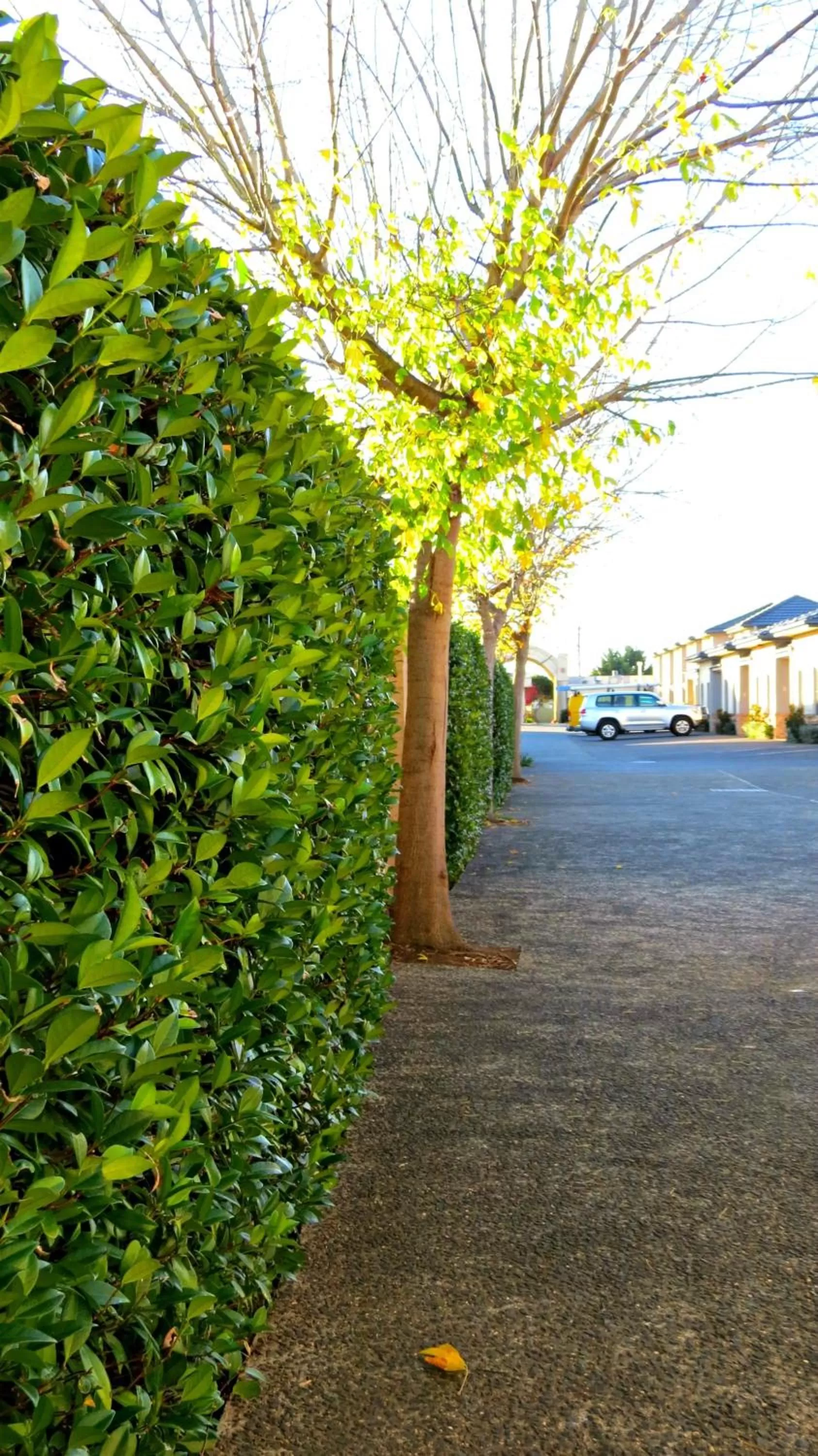 Facade/entrance in Best Western Plus Goulburn