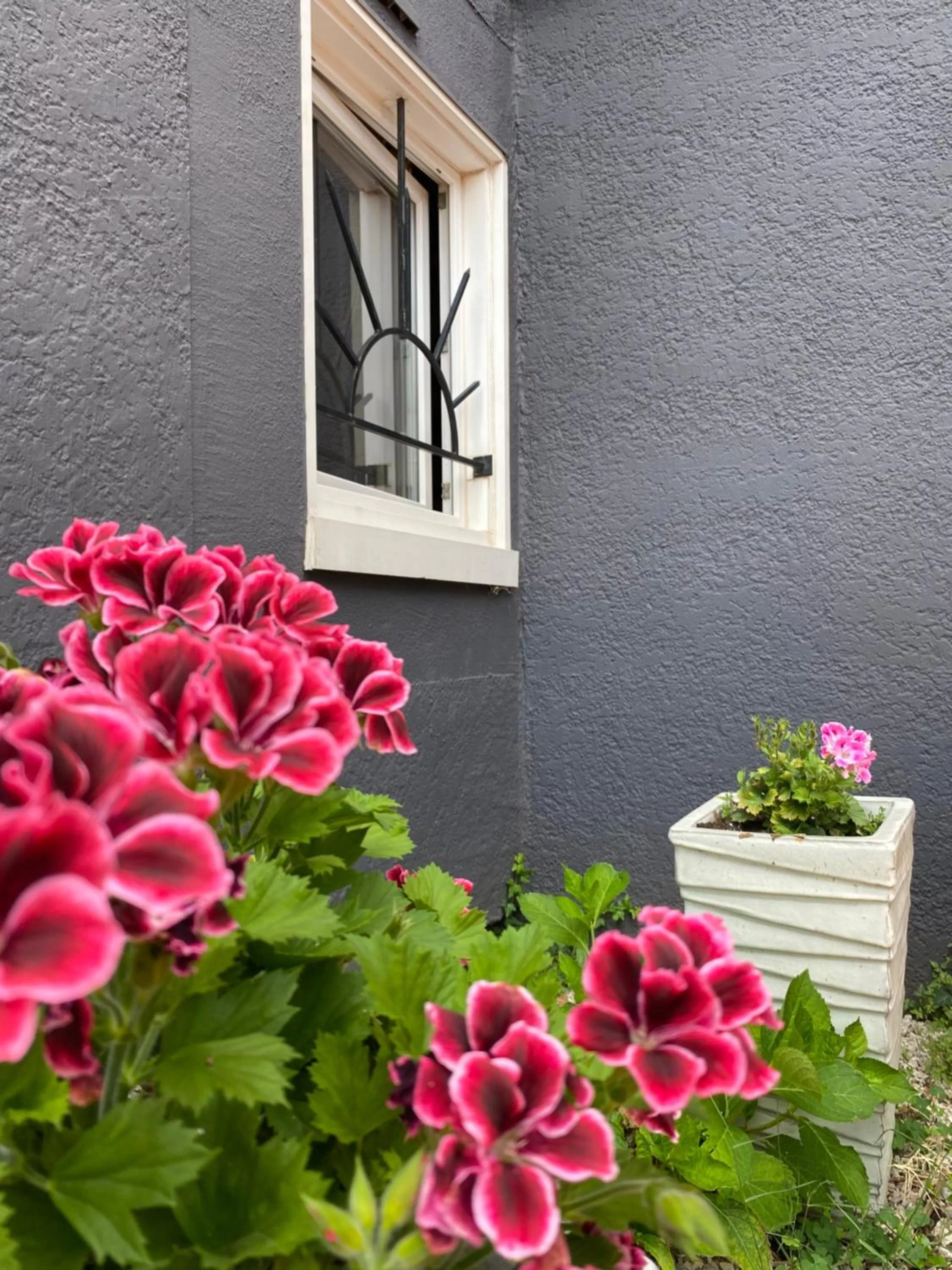 Patio in Contact Hotel LE SUD Montpellier Aéroport Parc Expo Arena