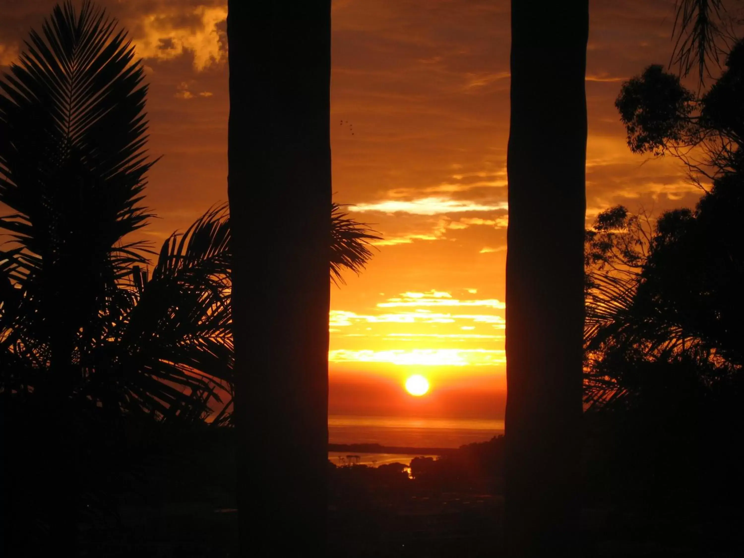 Sea view, Sunrise/Sunset in Ocean View Motor Inn Merimbula