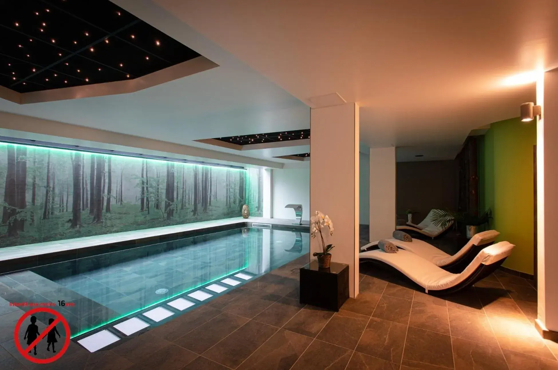 Swimming pool in Europe Haguenau – Hotel & Spa