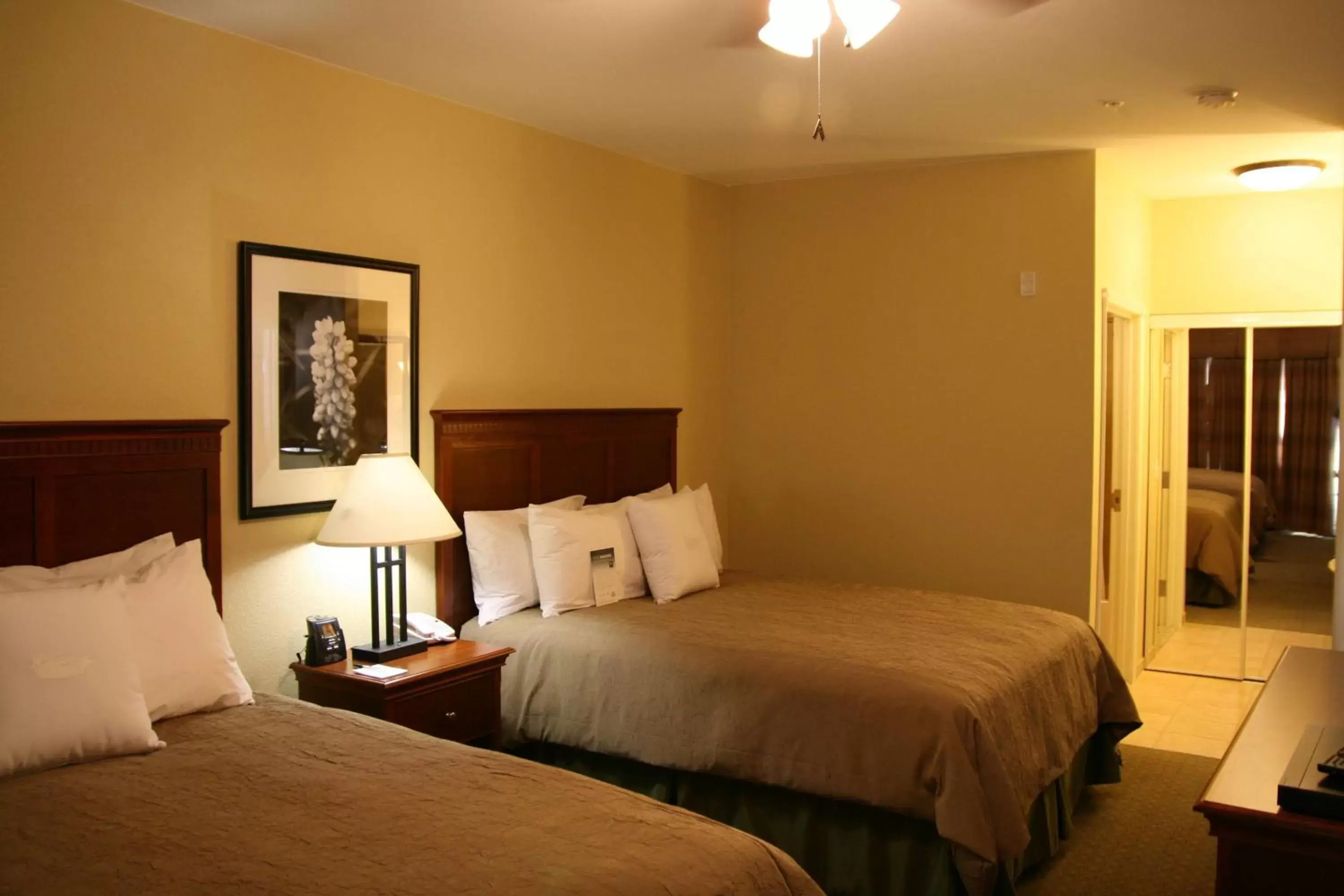 Bed in Homewood Suites by Hilton Denver - Littleton