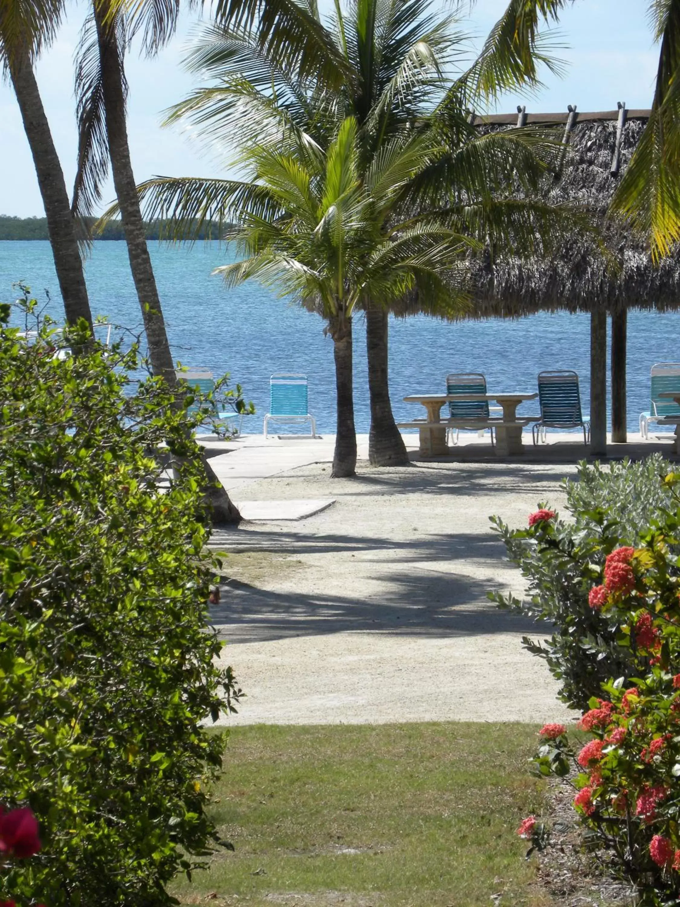 Garden in Rock Reef Resort