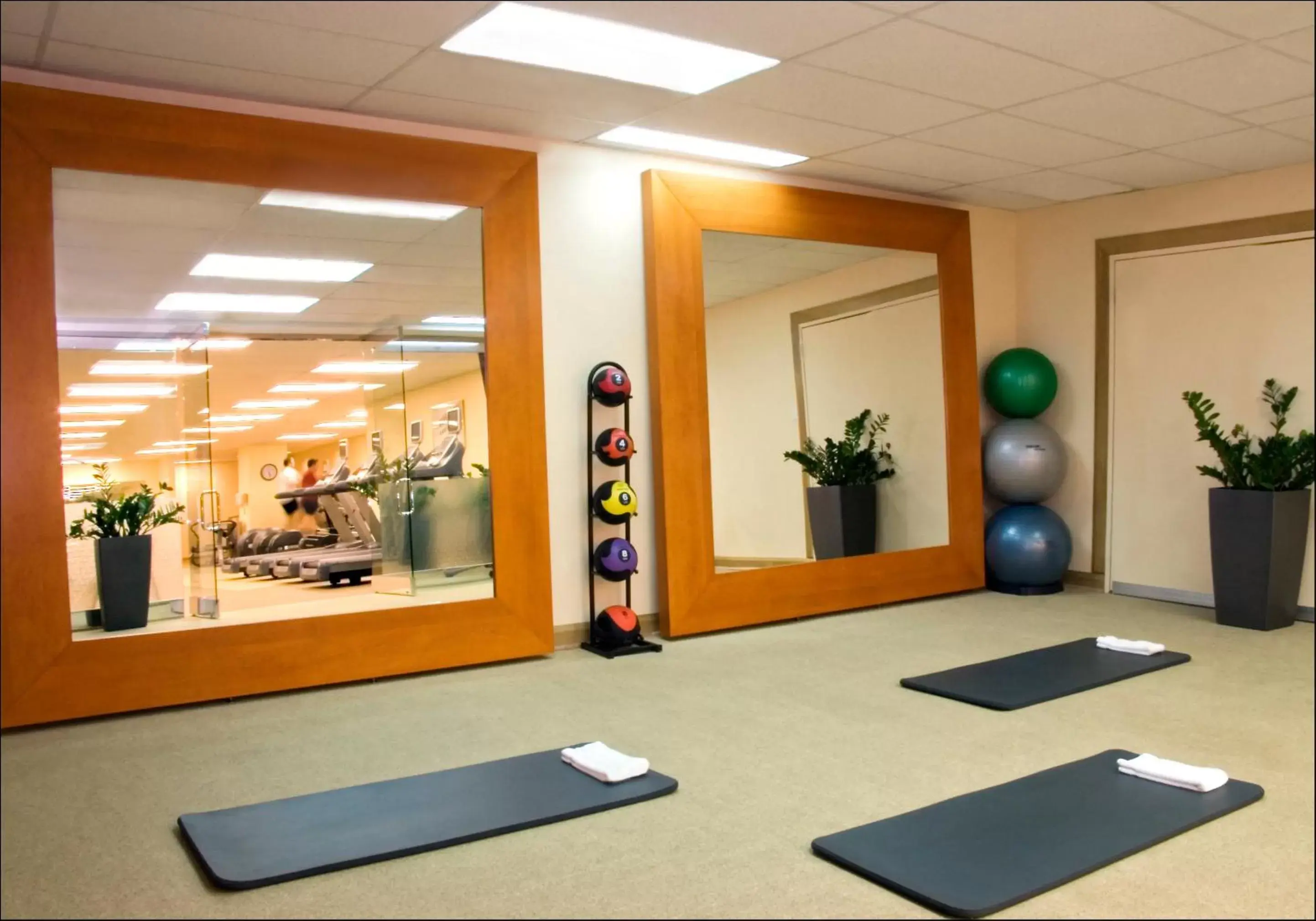 Fitness centre/facilities, Fitness Center/Facilities in Hotel Bonaventure Montreal