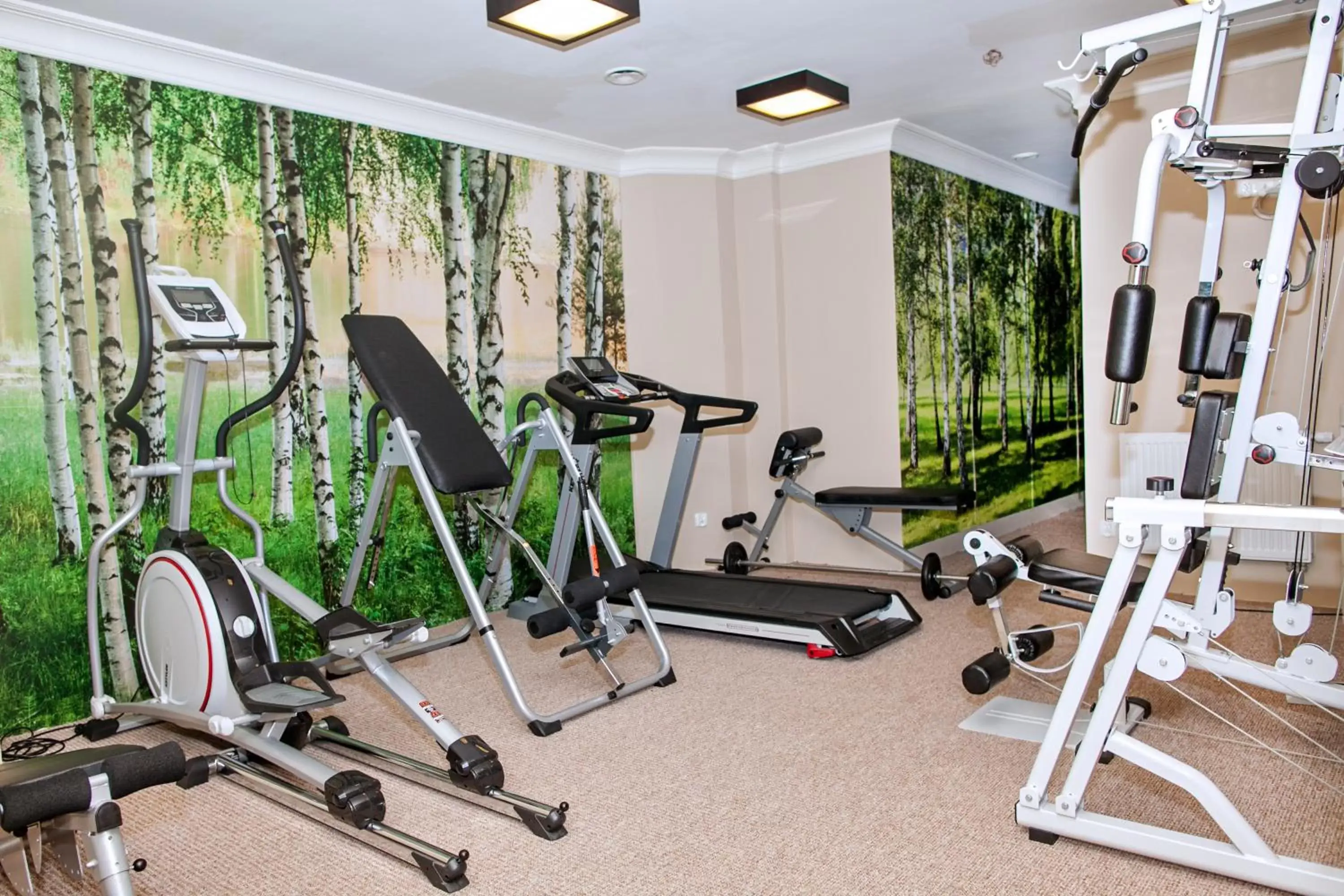 Activities, Fitness Center/Facilities in Hotel Solar Palace SPA & Wellness