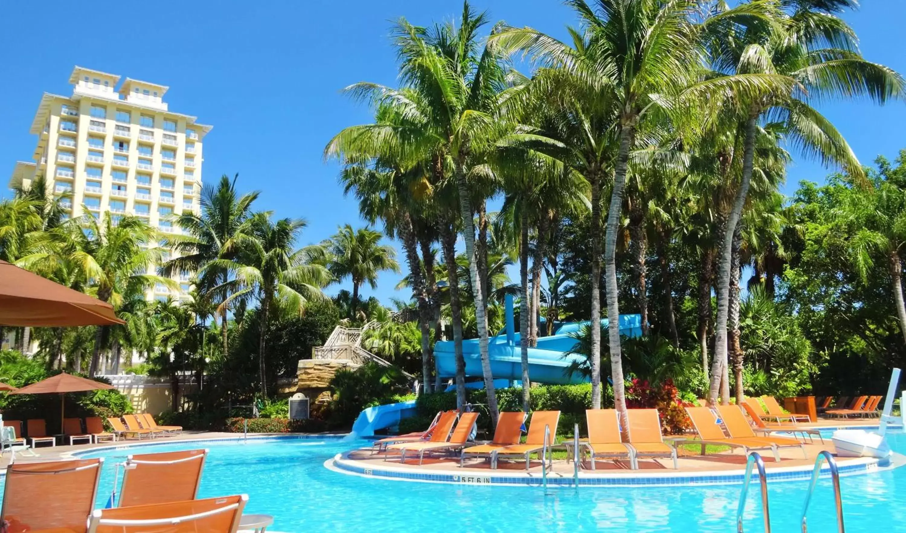 Pool view, Swimming Pool in Hyatt Regency Coconut Point Resort & Spa Near Naples