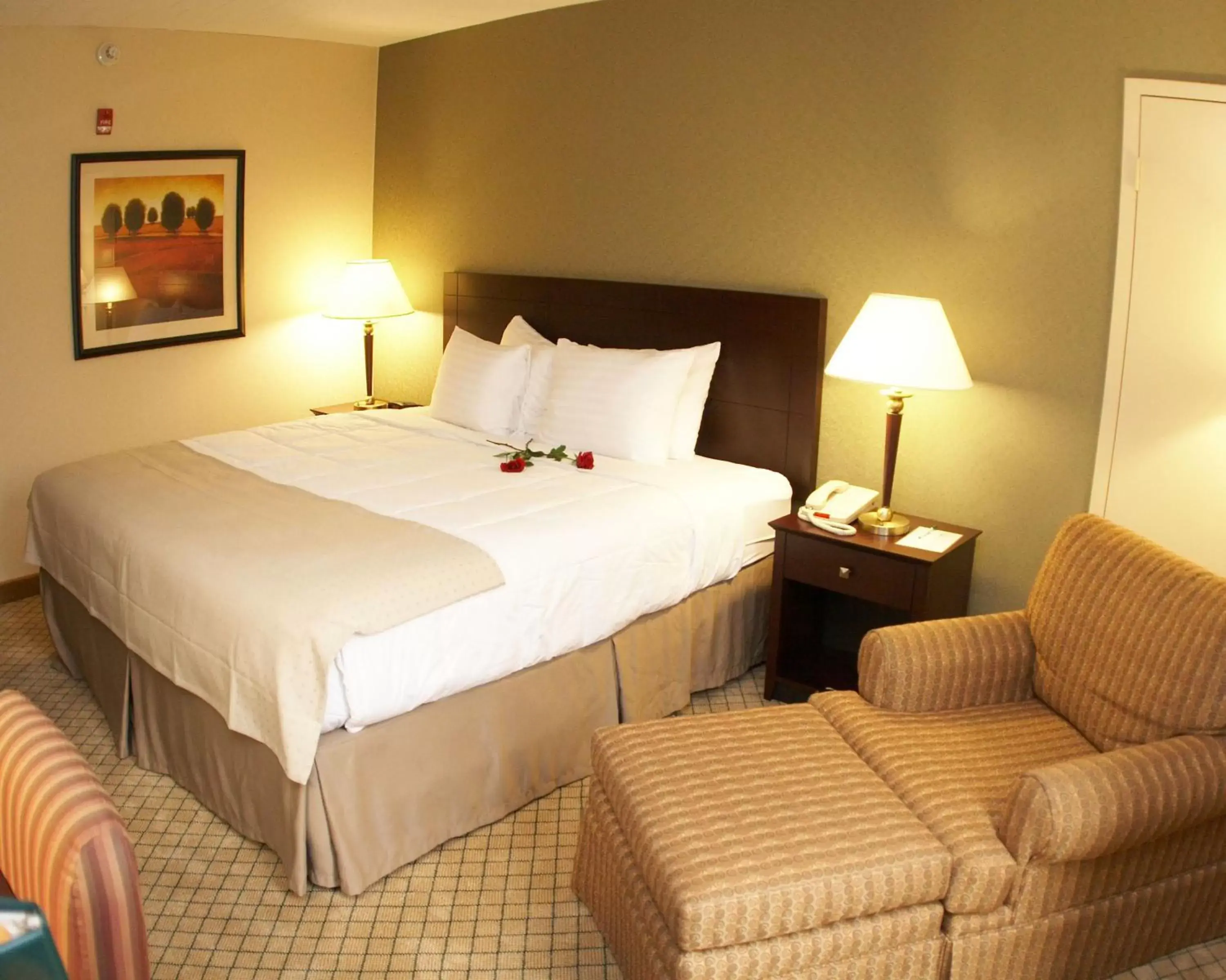 Photo of the whole room, Bed in Armoni Inn & Suites
