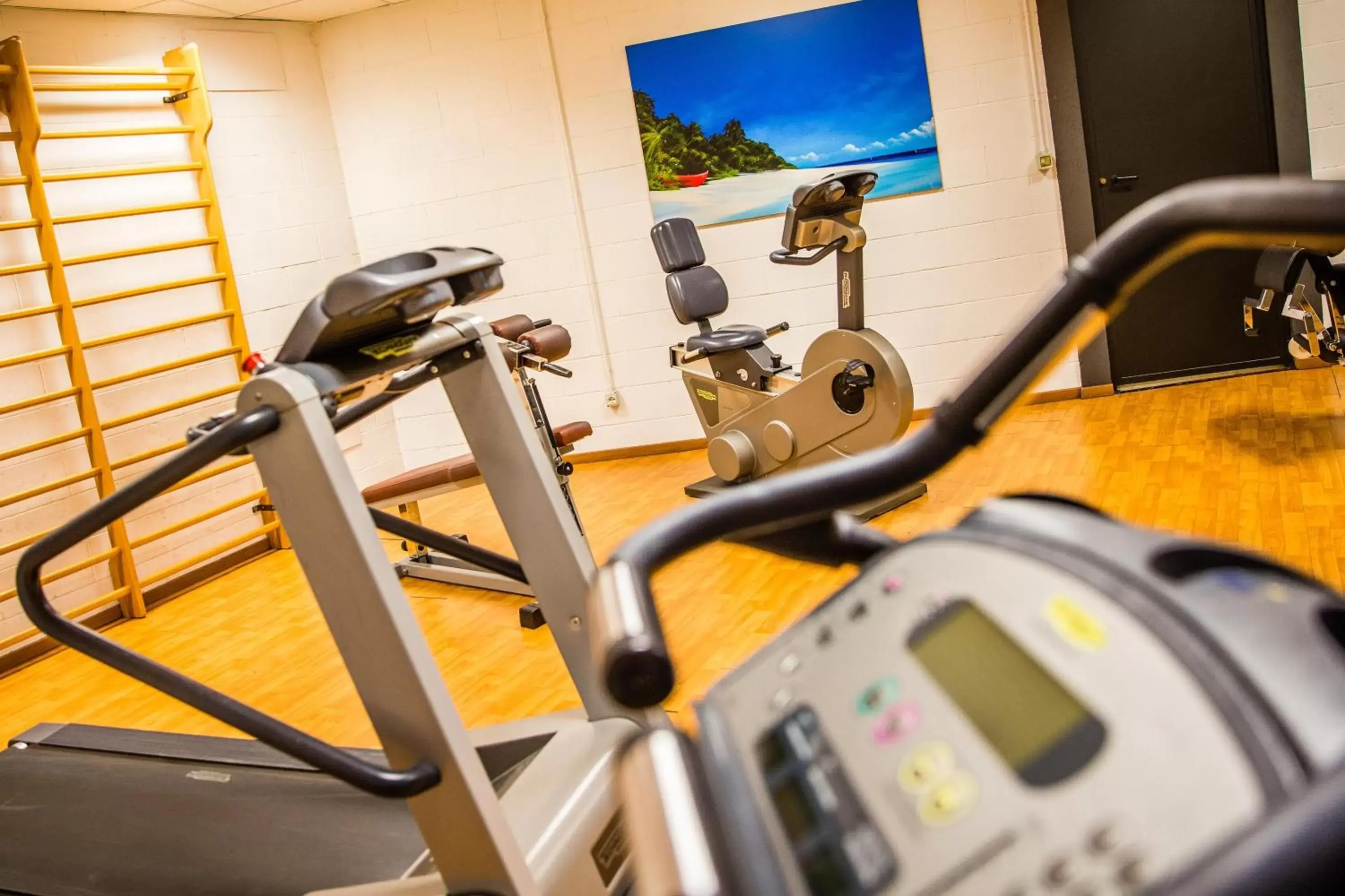Fitness centre/facilities, Fitness Center/Facilities in Hotel Glis