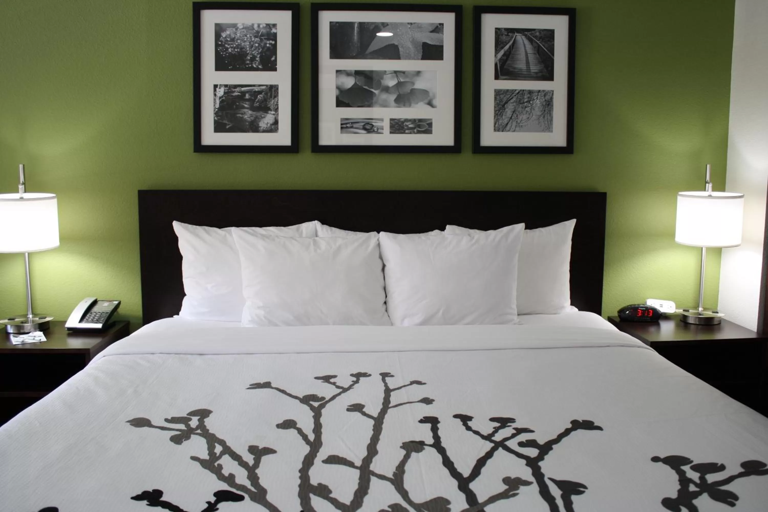 Bed in Sleep Inn Ellenboro Hwy 50