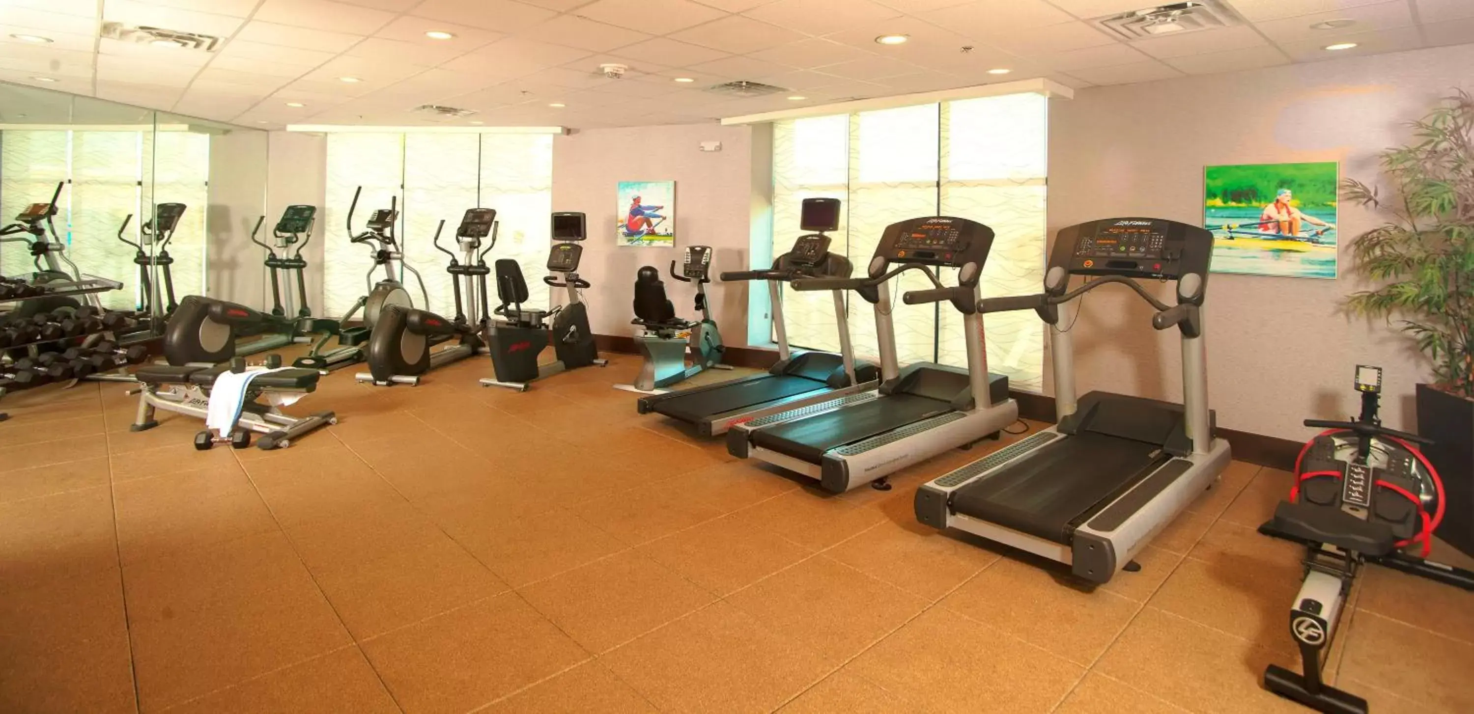 Spa and wellness centre/facilities, Fitness Center/Facilities in Holiday Inn Austin -Town Lake, an IHG Hotel