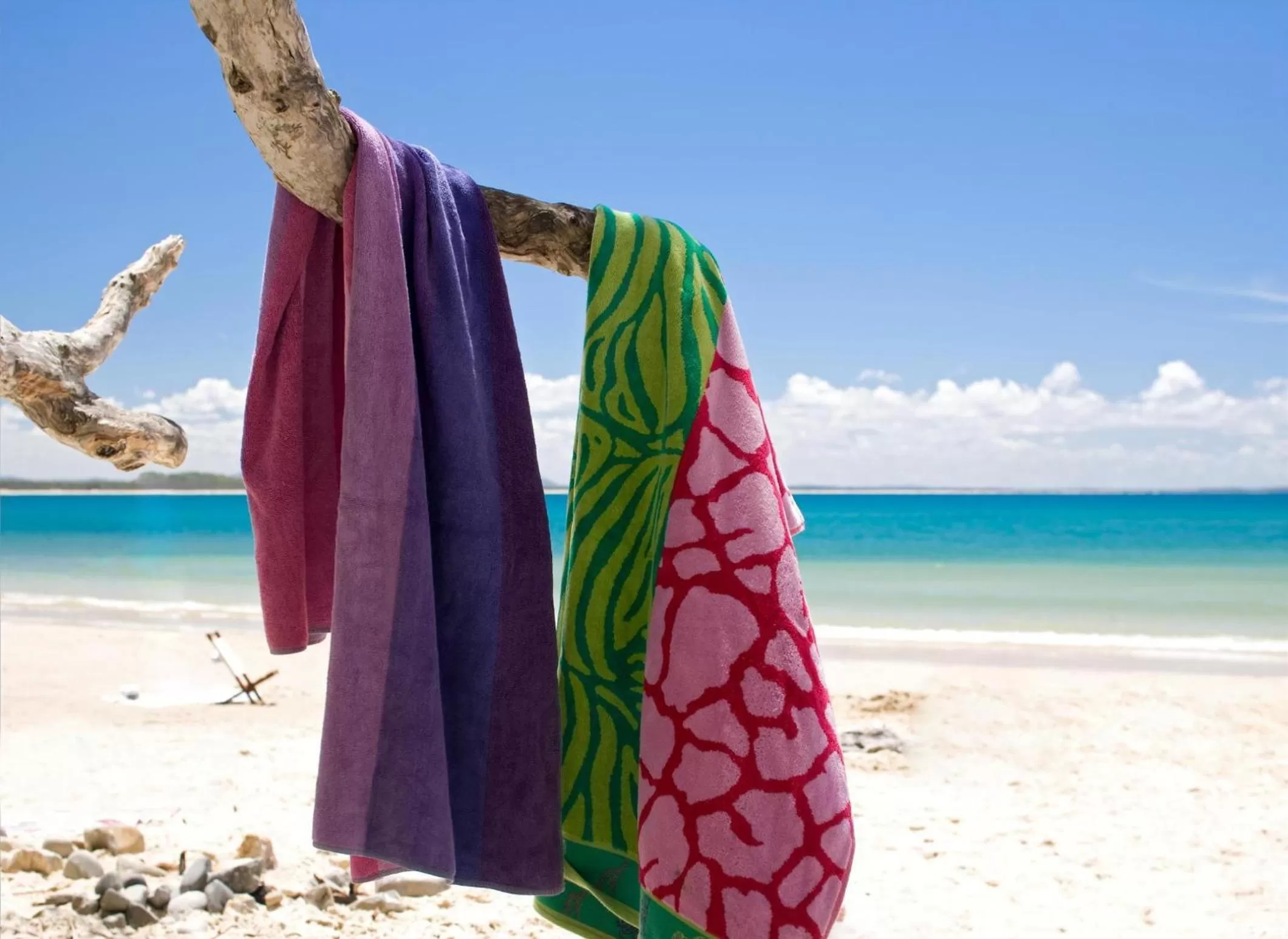 Beach in Sofitel Noosa Pacific Resort