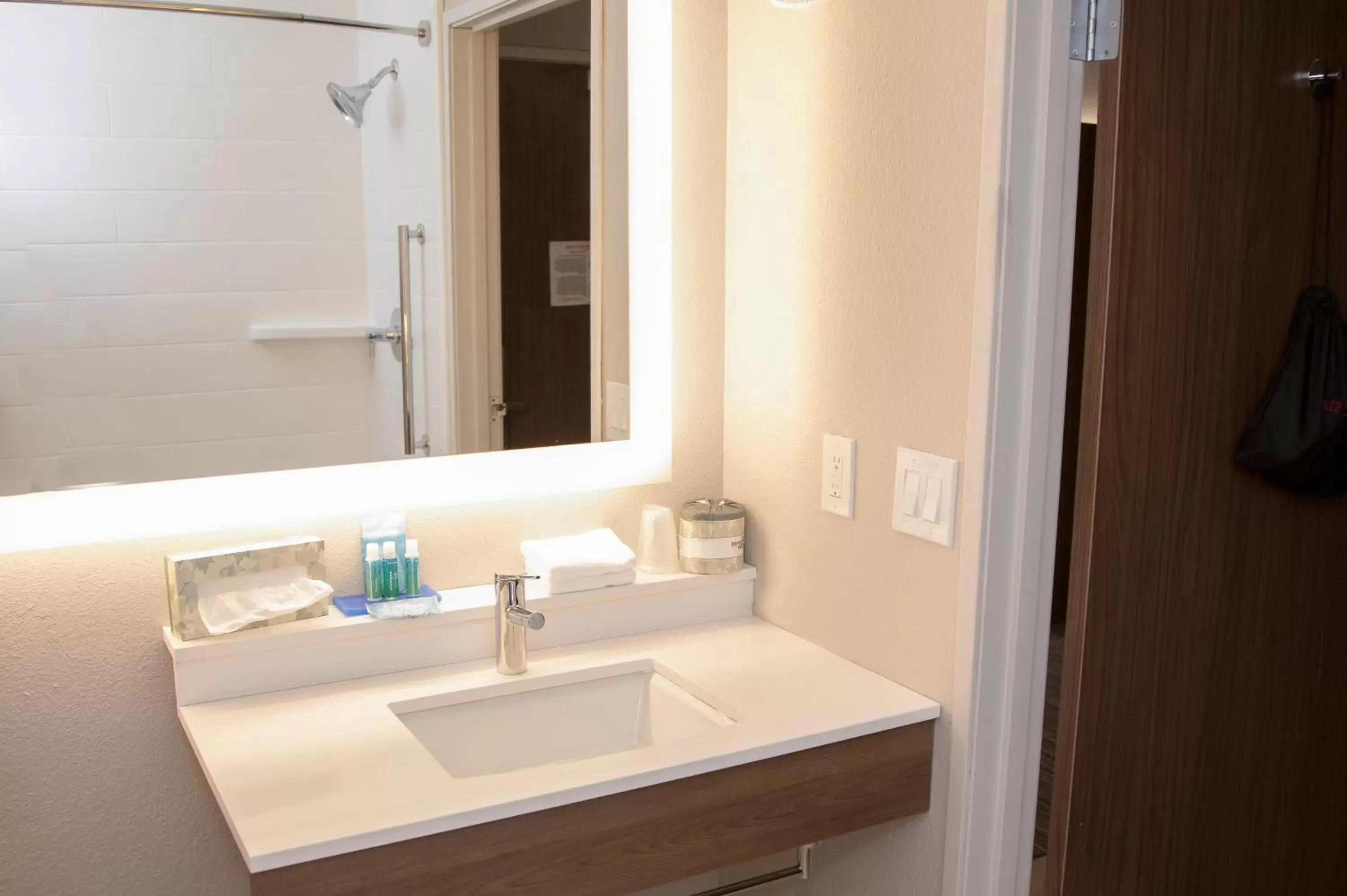 Bathroom in Holiday Inn Express & Suites Colorado Springs North, an IHG Hotel