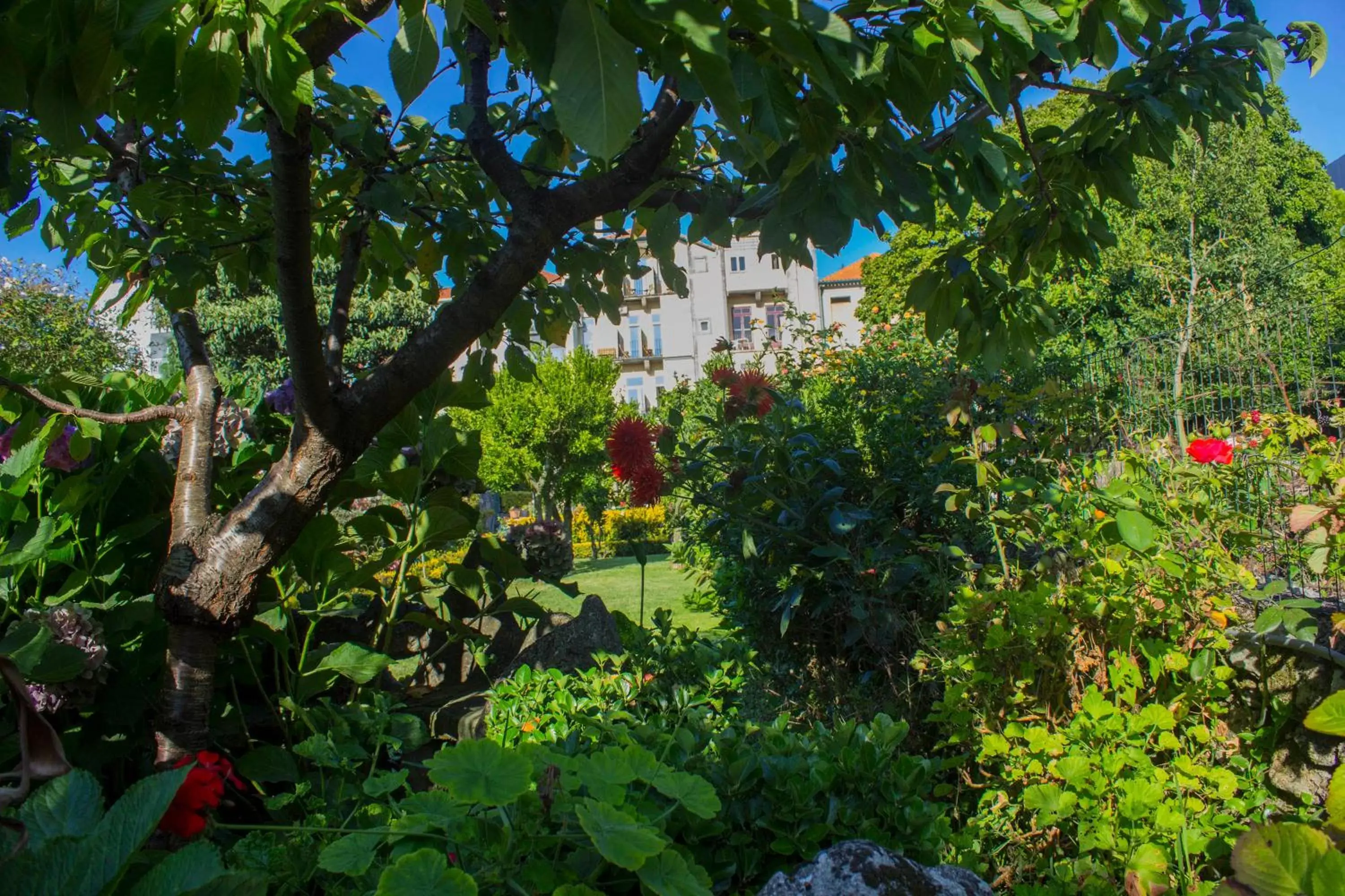 Garden in Hotel Estoril Porto
