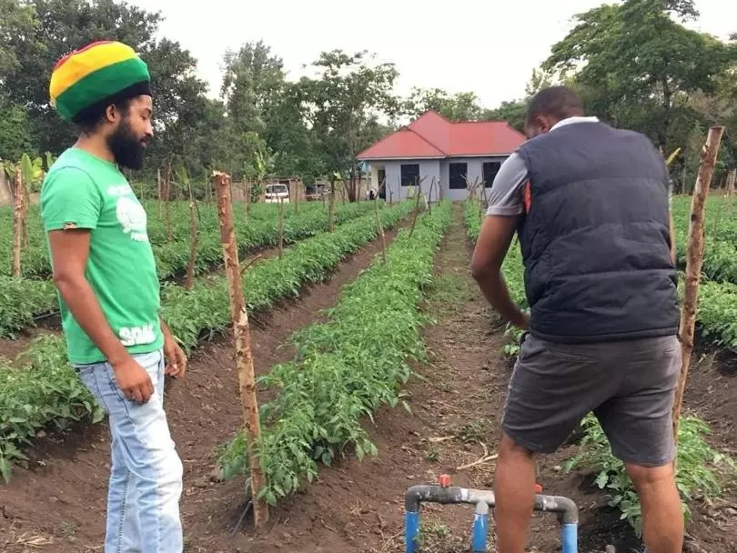 Guests in Charming Eco-Homestay near Kilimanjaro International Airport