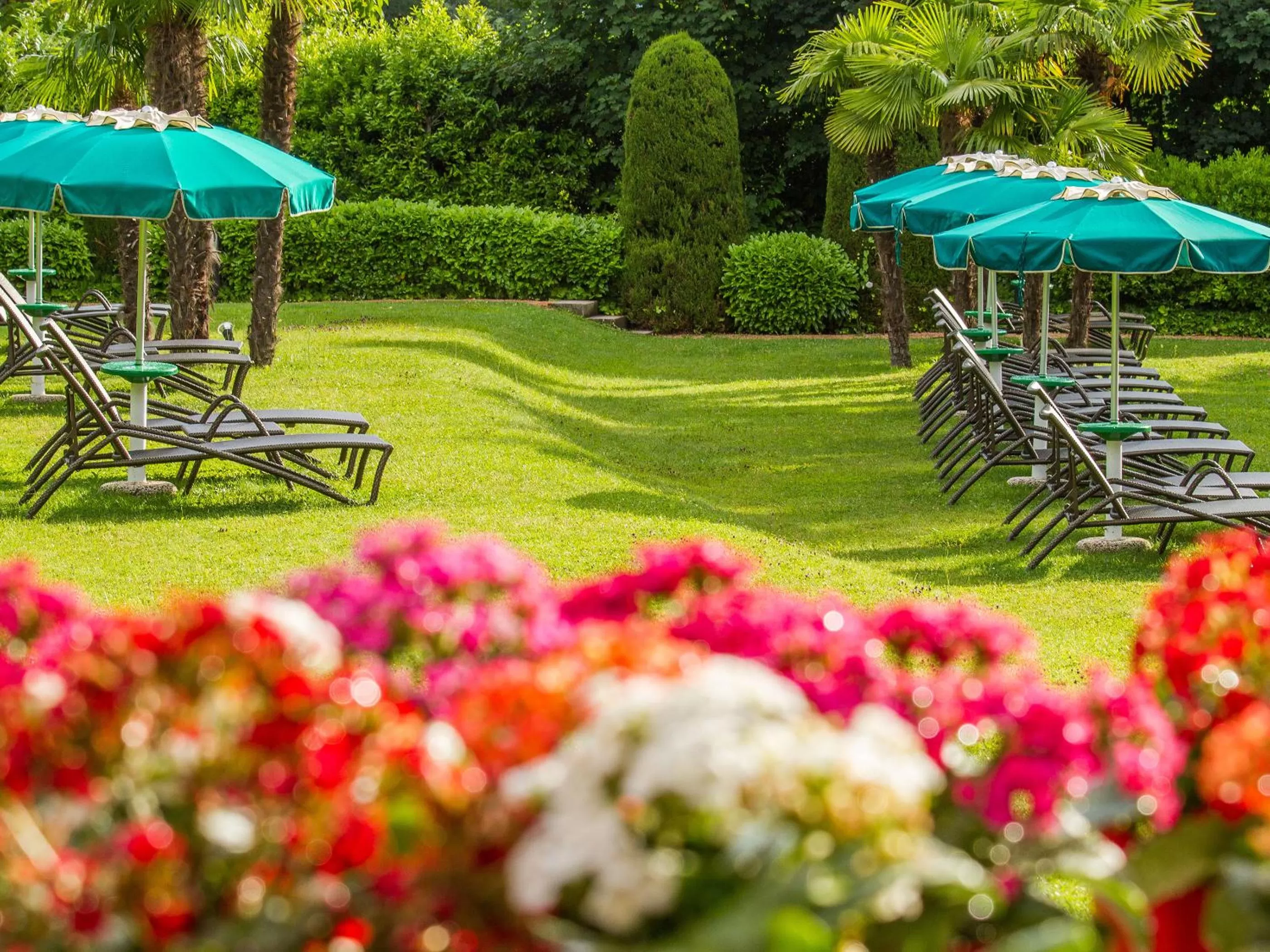 Garden in Park Hotel Principe