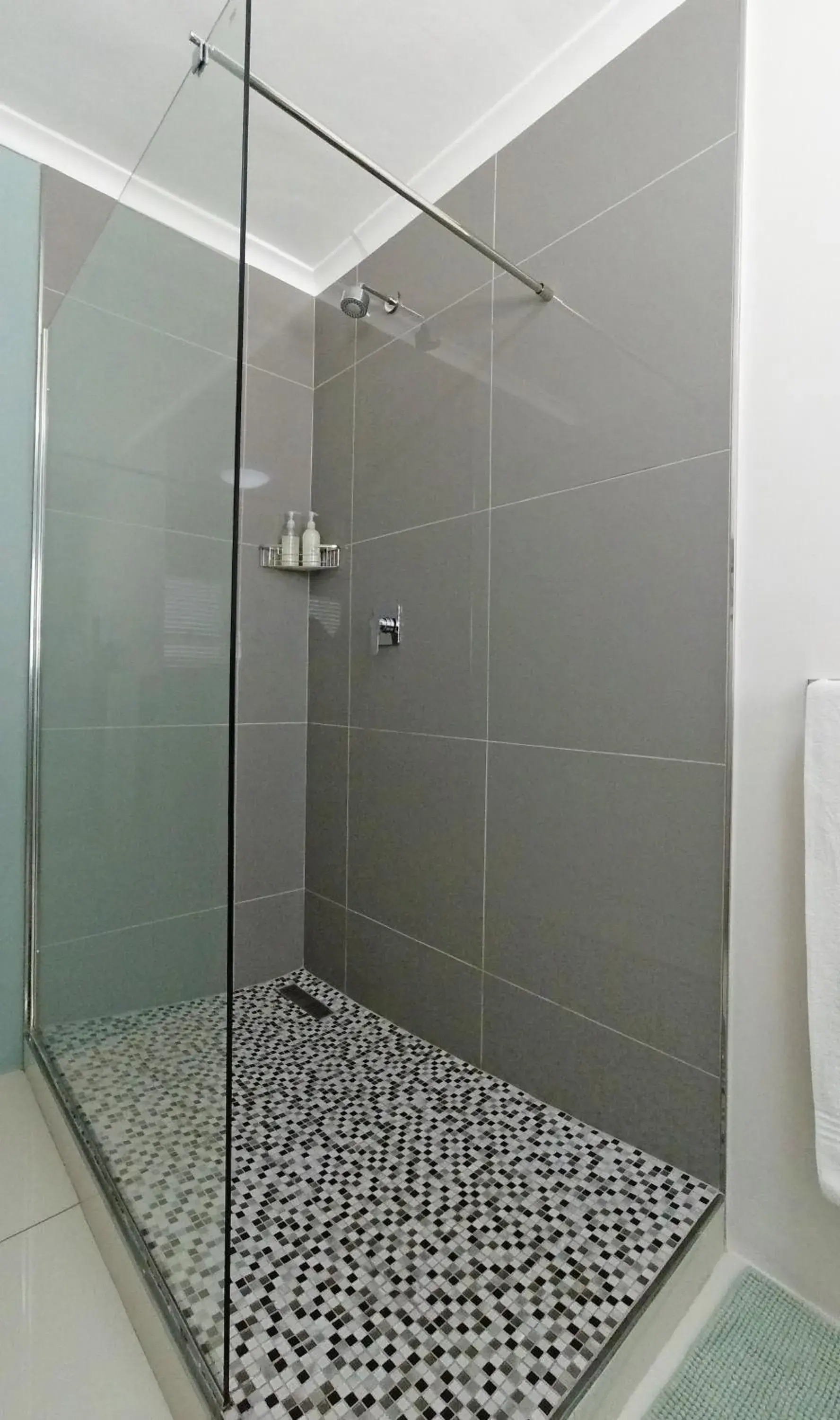 Shower, Bathroom in Dolphin Inn Guesthouse