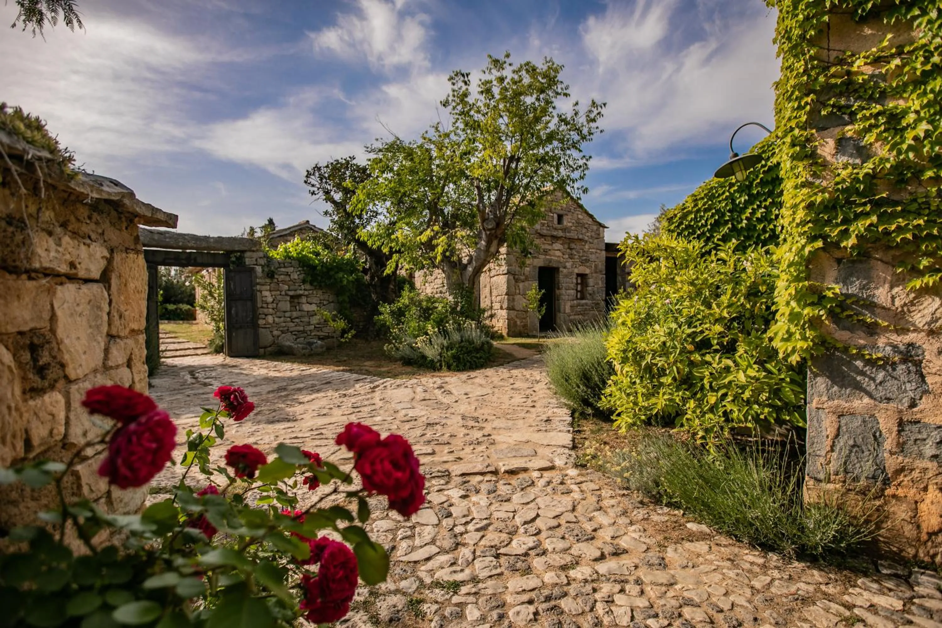 Area and facilities in Amadria Park Ivan