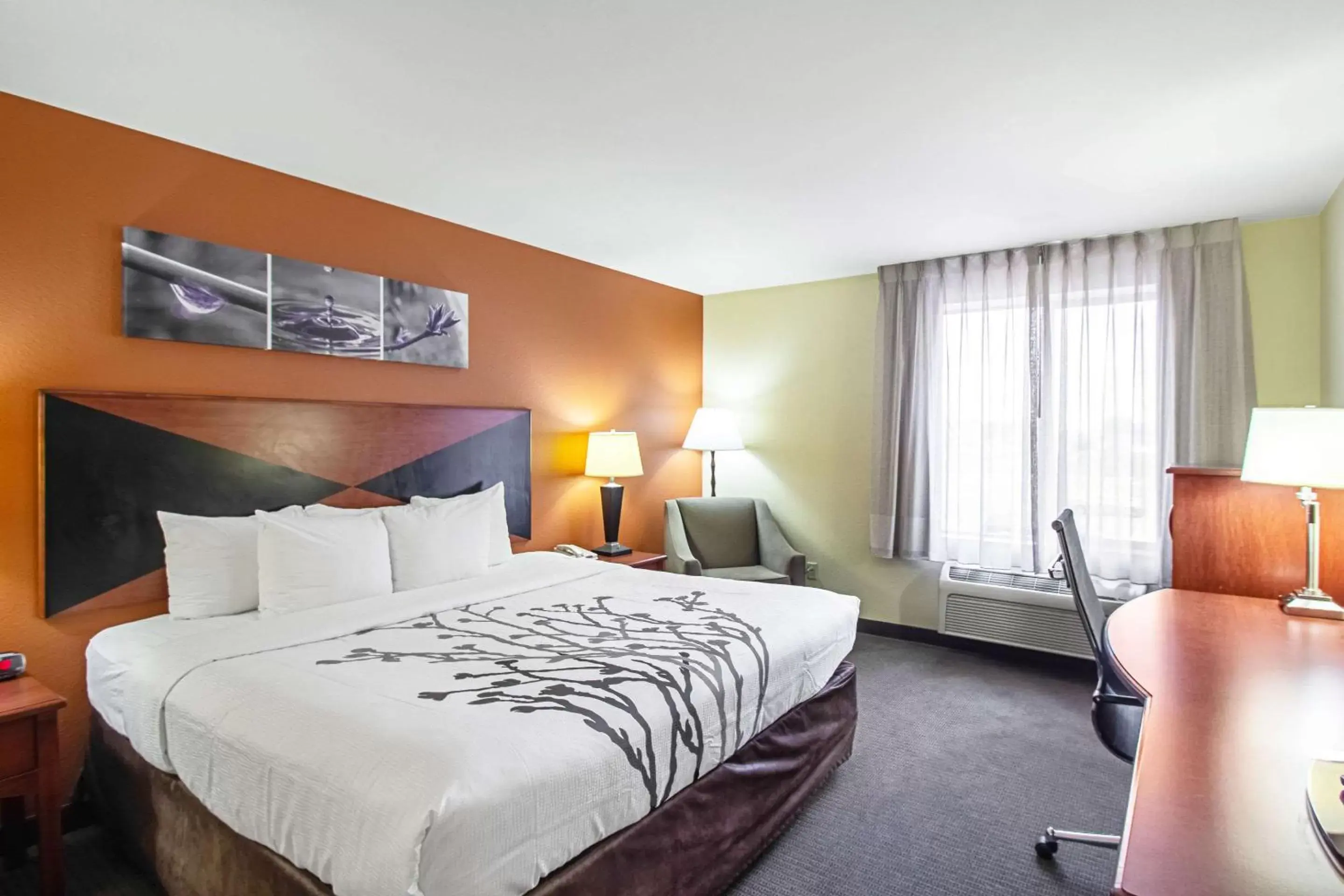 Photo of the whole room, Bed in Sleep Inn & Suites Madison