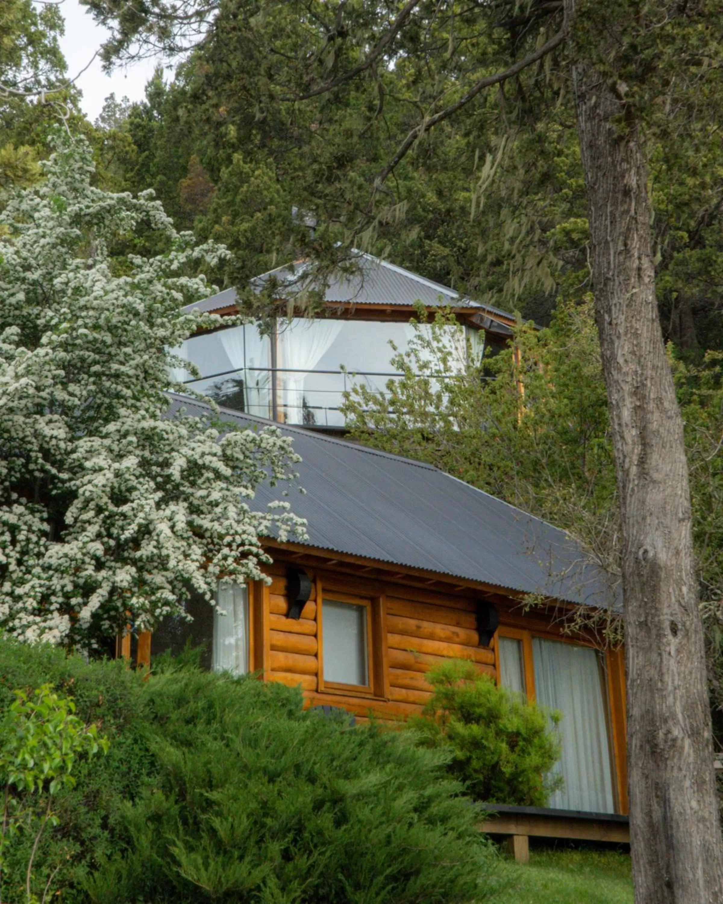 Property building in Arrayan Lake View Mountain Lodge & Casa De Te Arrayan