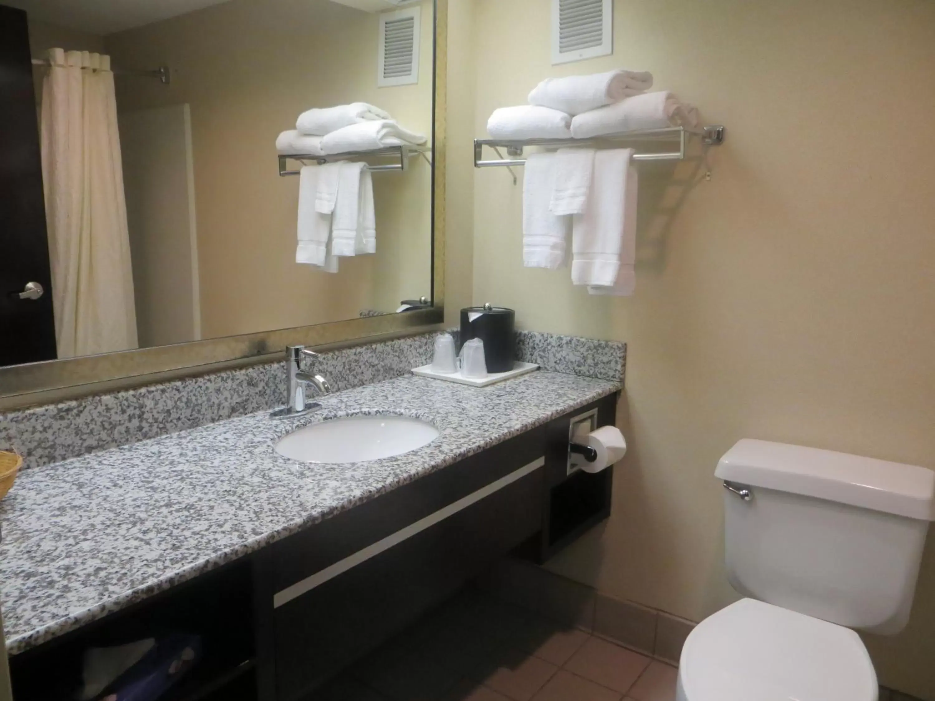 Bathroom in Best Western Knoxville Suites - Downtown