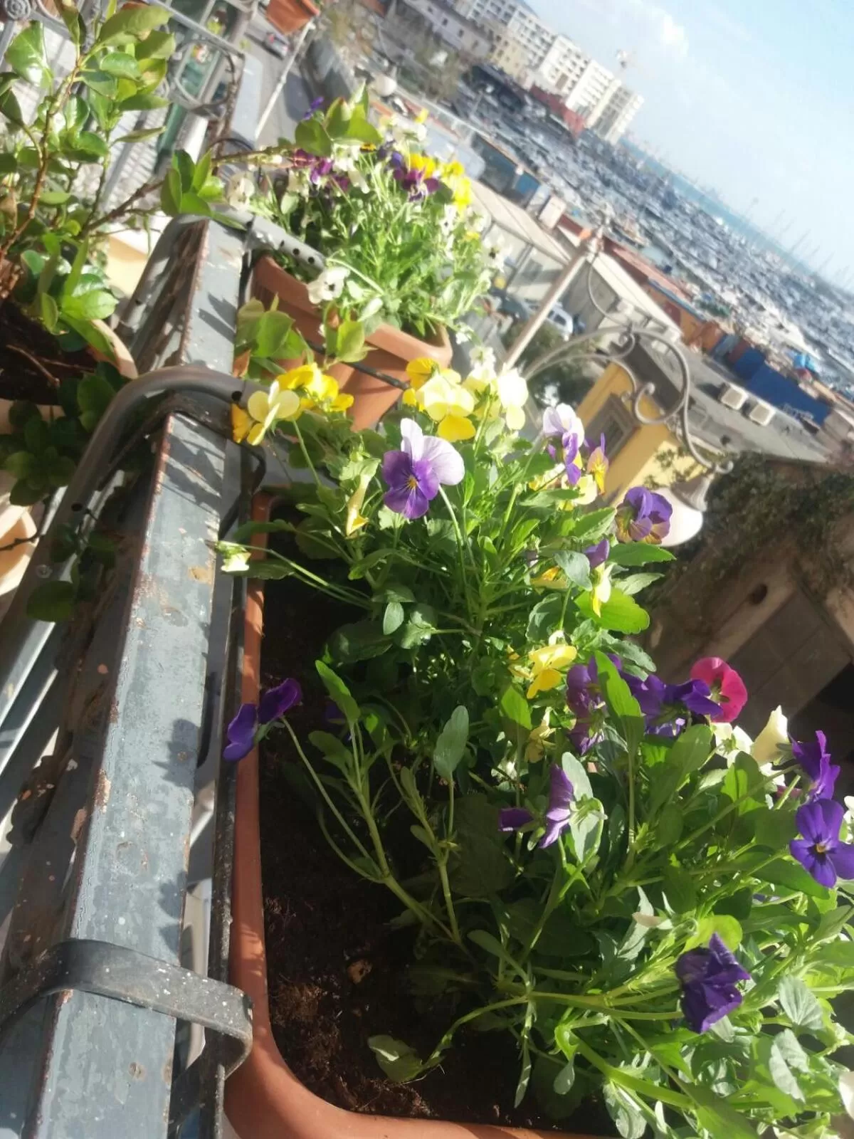 Street view in B&B VelAmare