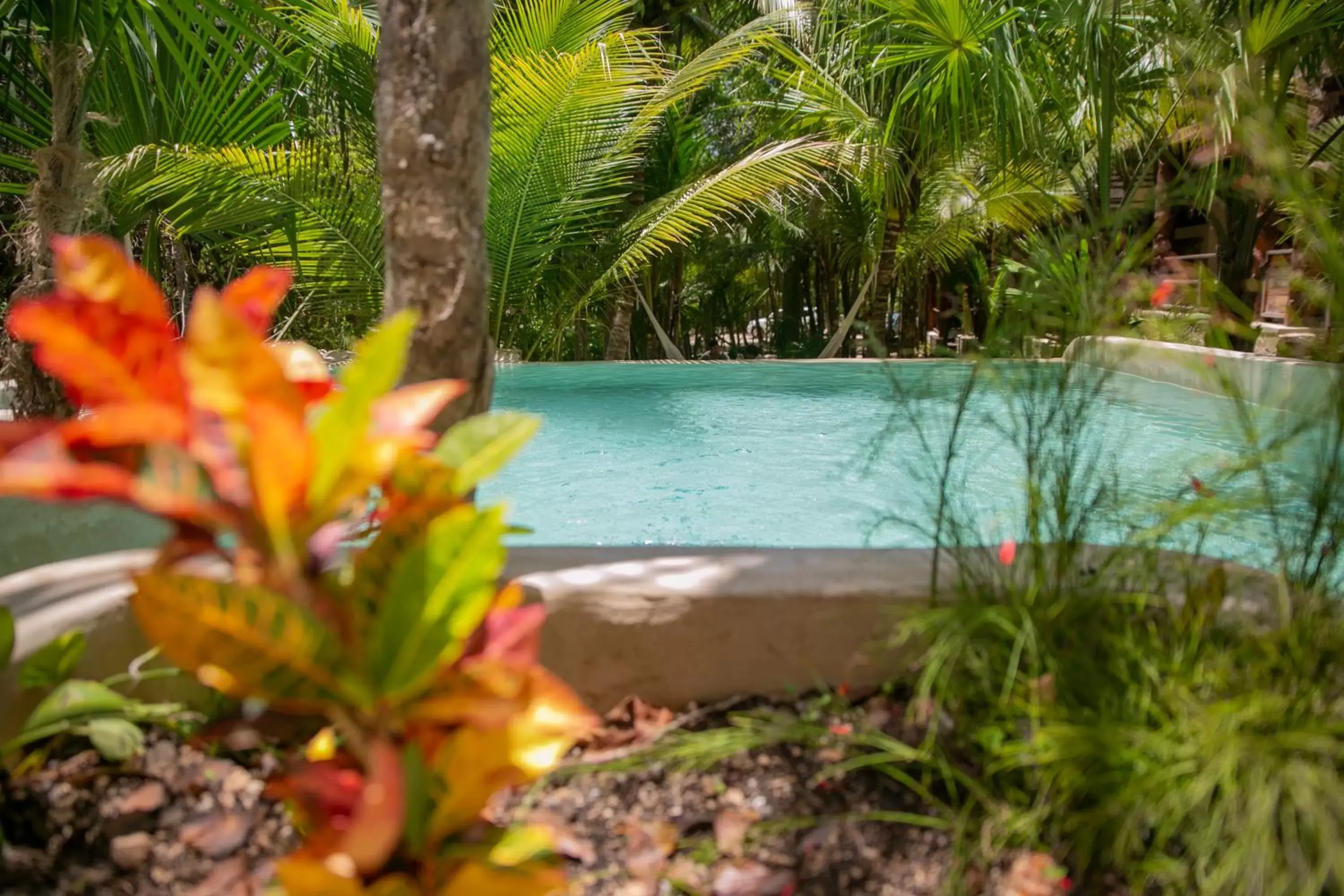 Swimming Pool in Hotel Buenavista Bacalar - Yoga & Meditation Included