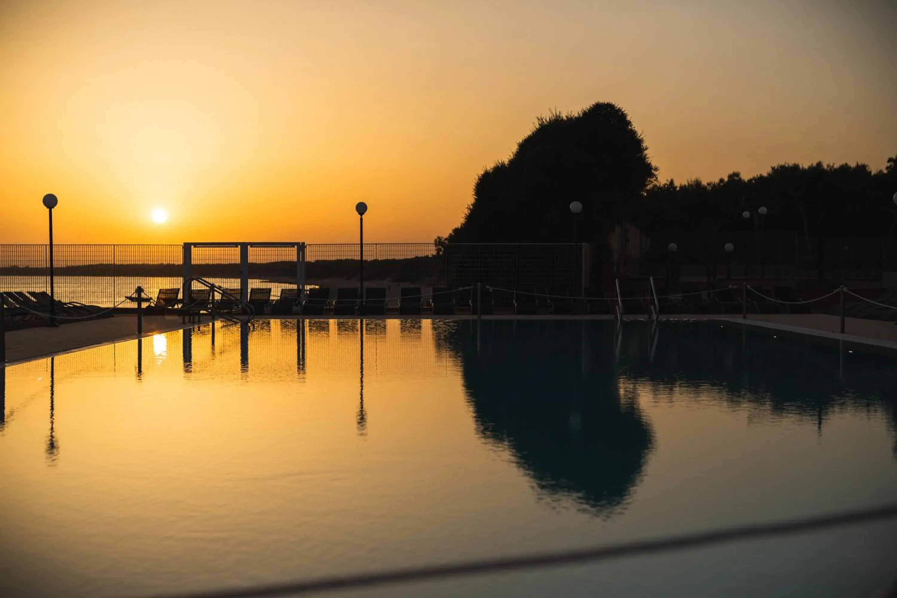 Natural landscape, Swimming Pool in Hotel Ara Solis