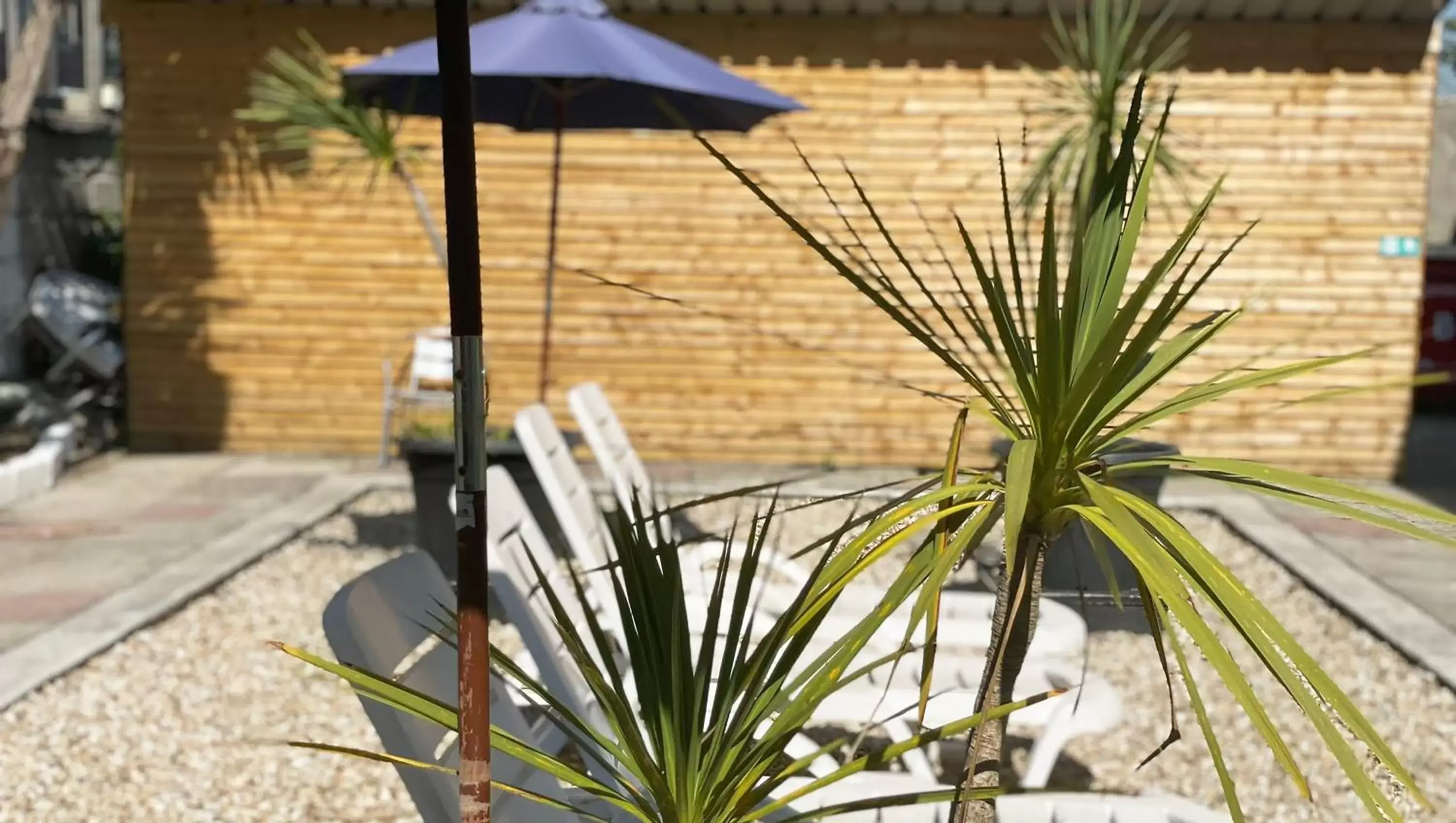 Inner courtyard view in Magnuson Hotel Sandy Lodge Newquay