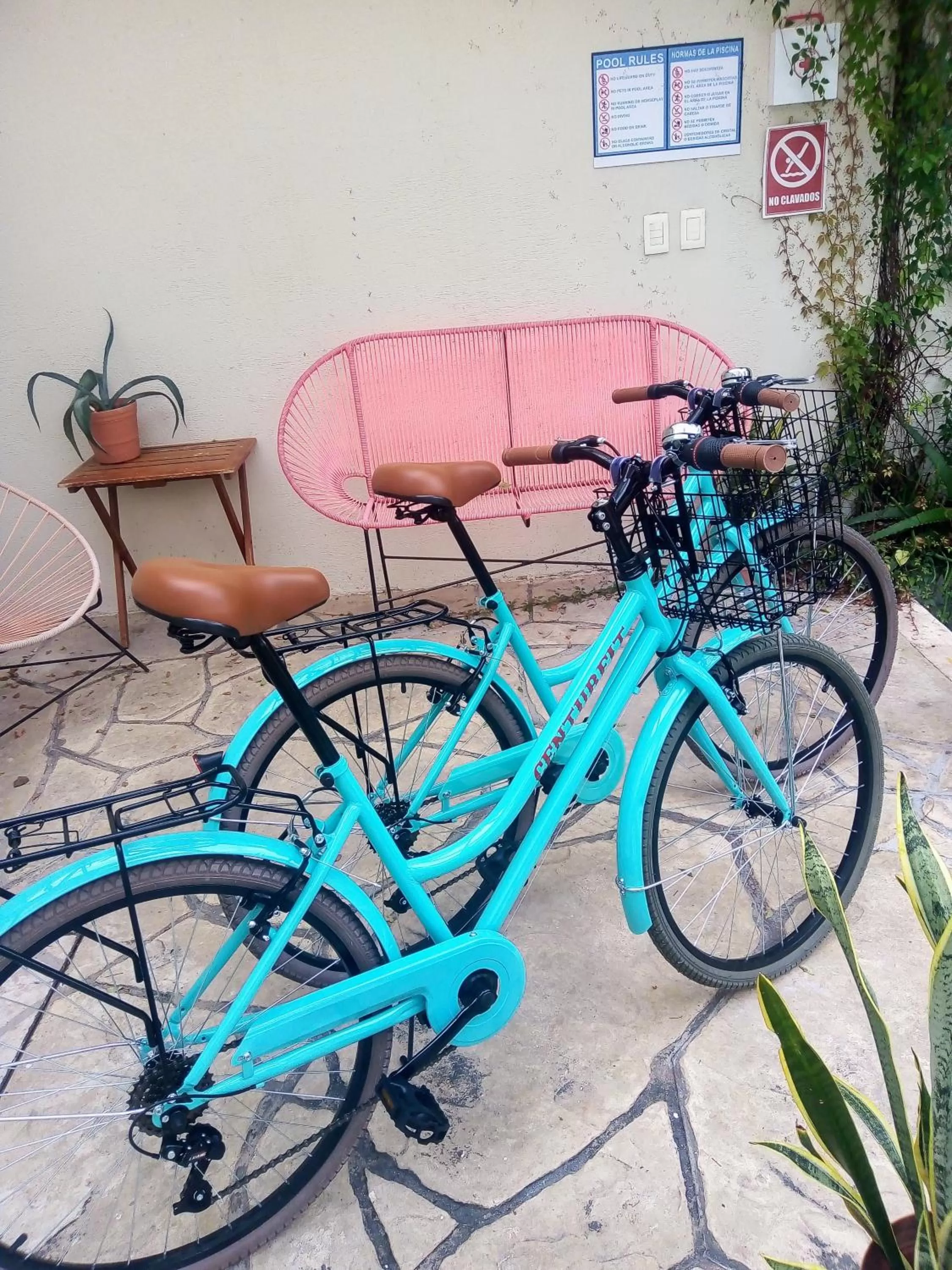 Other Activities in Bed and Breakfast Pecarí