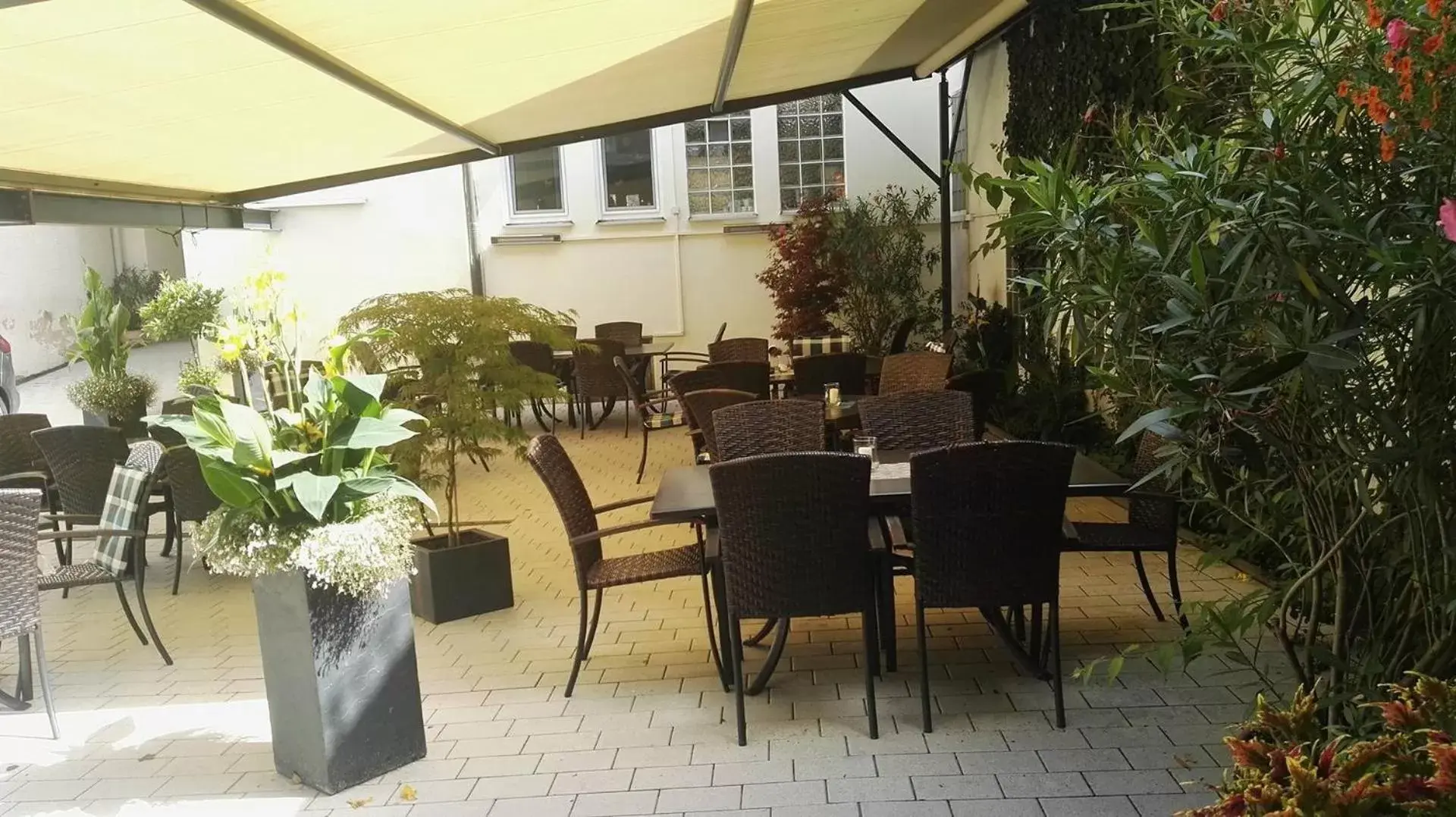 Restaurant/places to eat in Hotel Grüner Baum Restaurant/places to eat in Hotel Grüner Baum