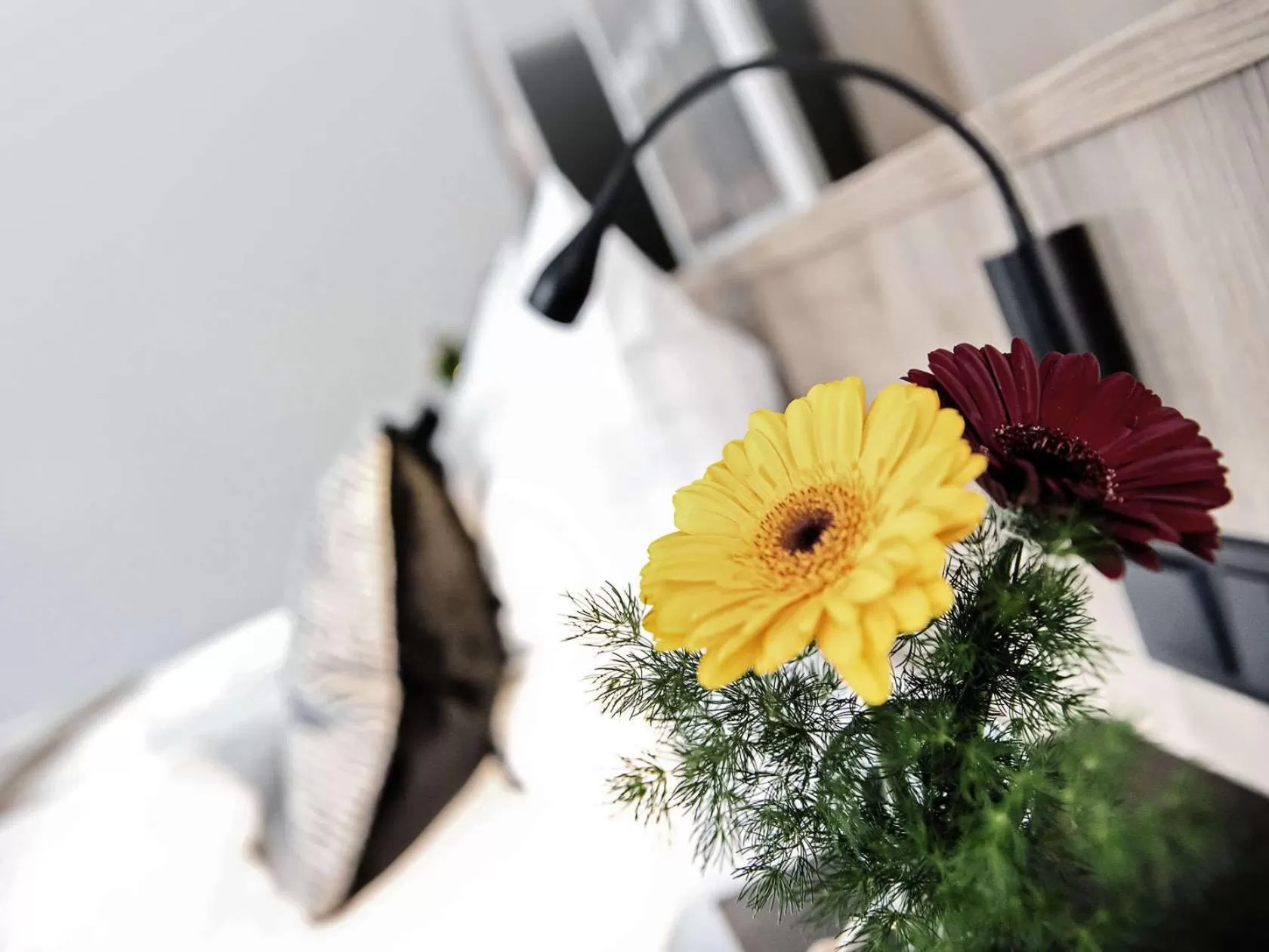 Bedroom in alexxanders Hotel & Boardinghouse, Restaurant