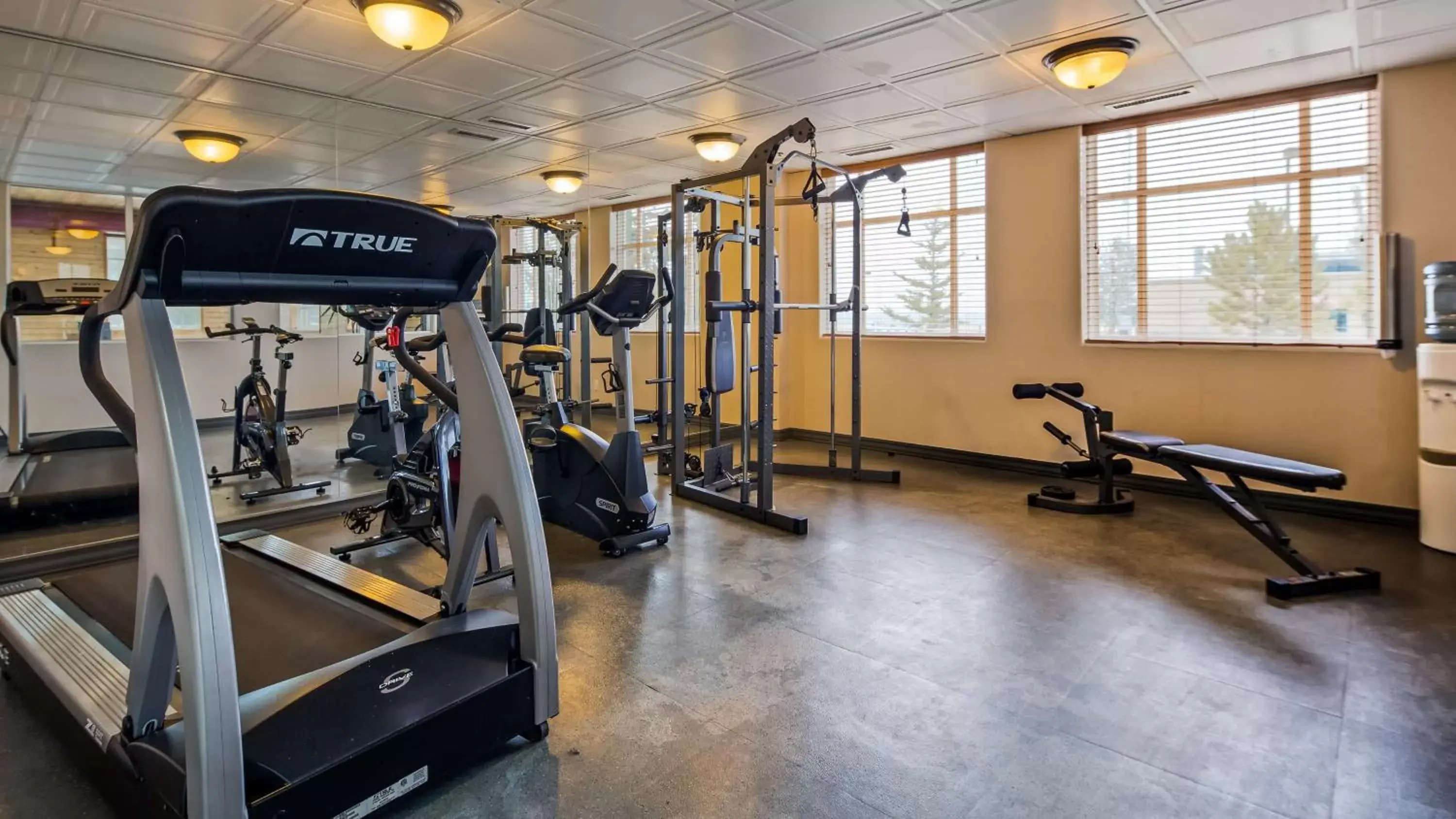 Fitness centre/facilities, Fitness Center/Facilities in Best Western of Olds