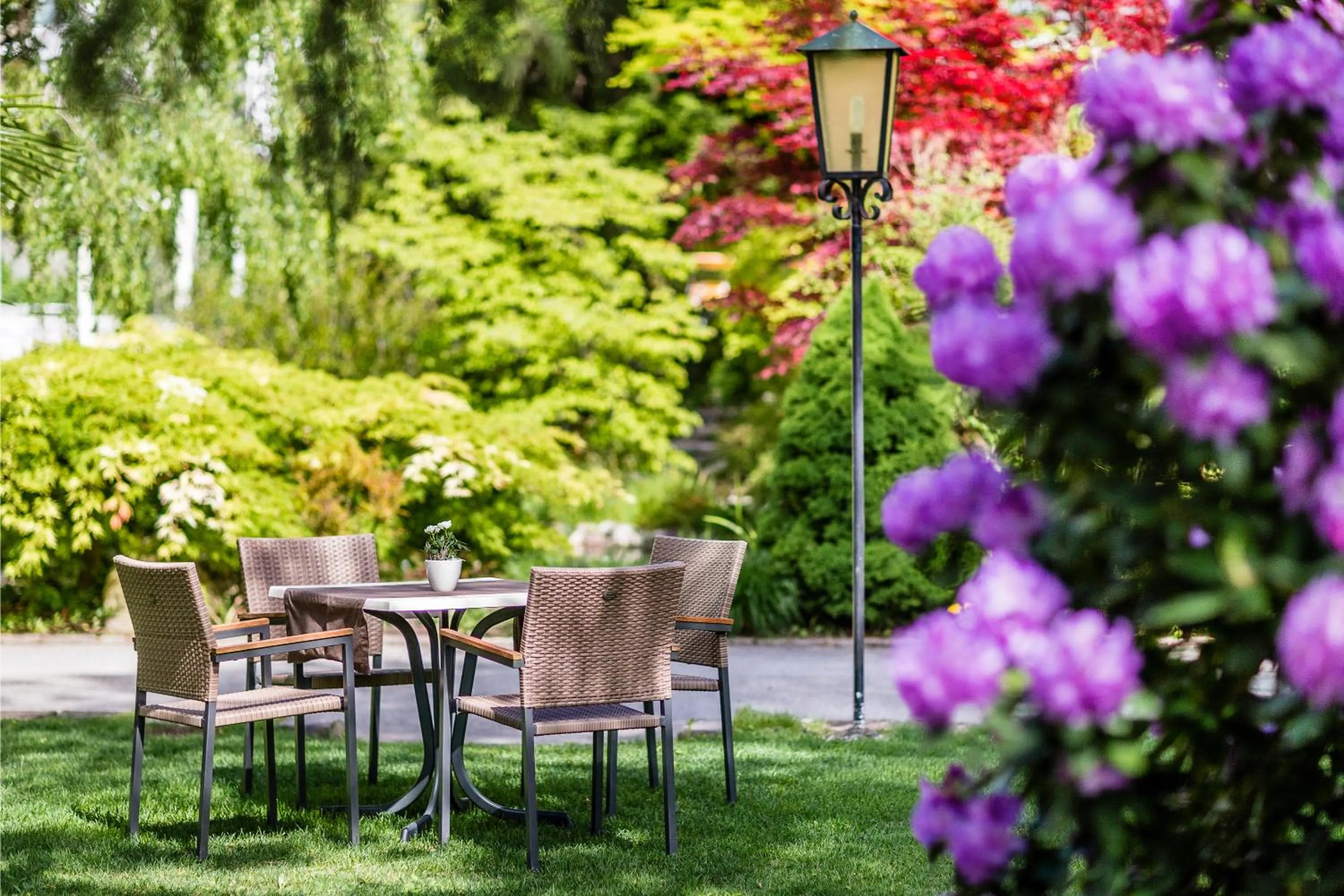 Garden in Hotel Sonnenhof